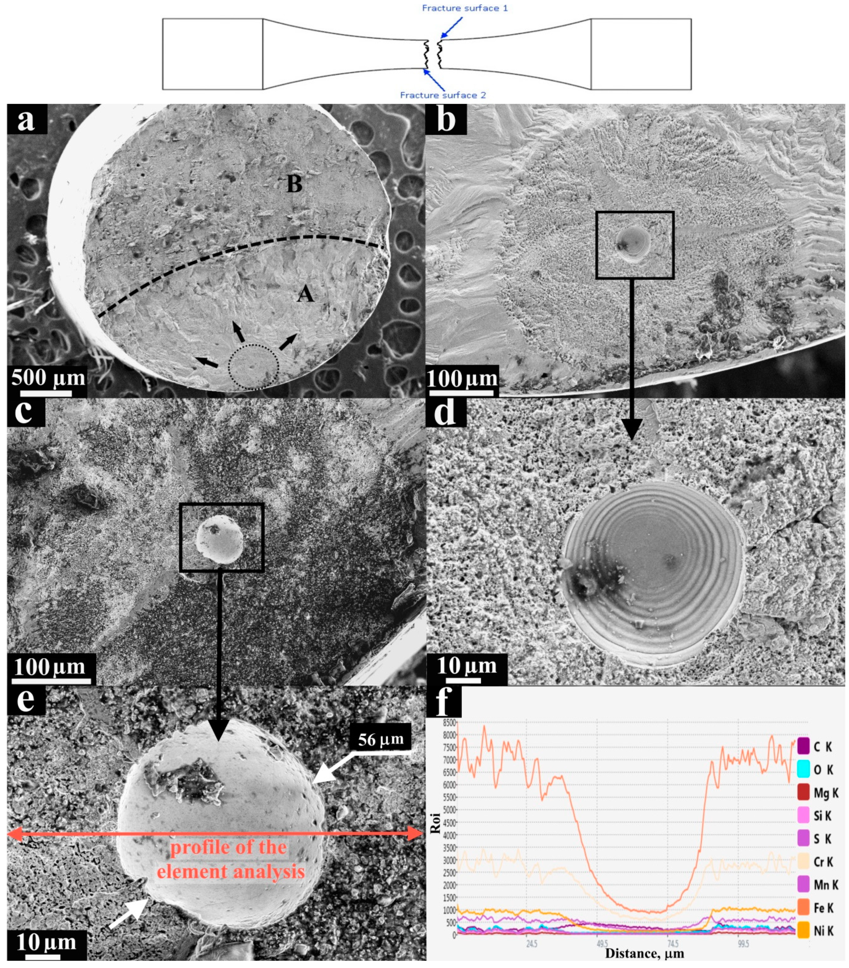 Materials 13 03293 g006