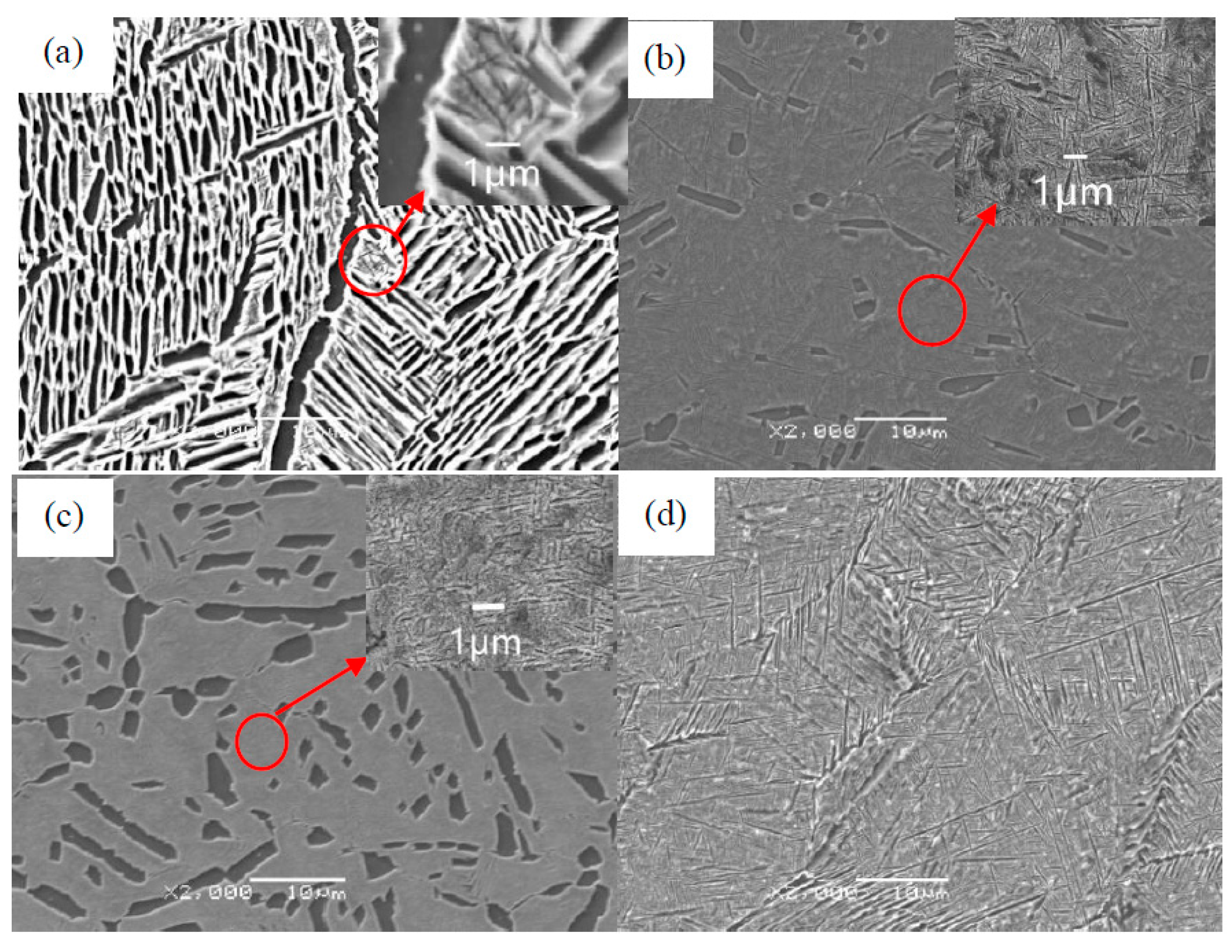 Materials 13 03347 g005