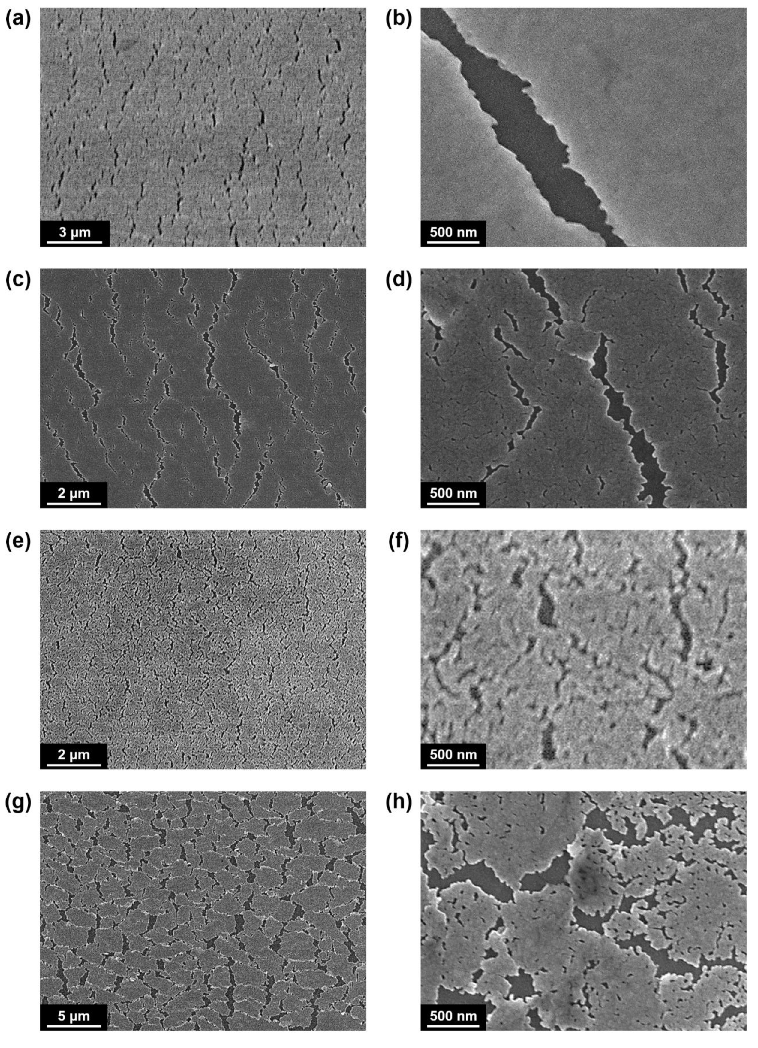 Materials 13 03349 g003