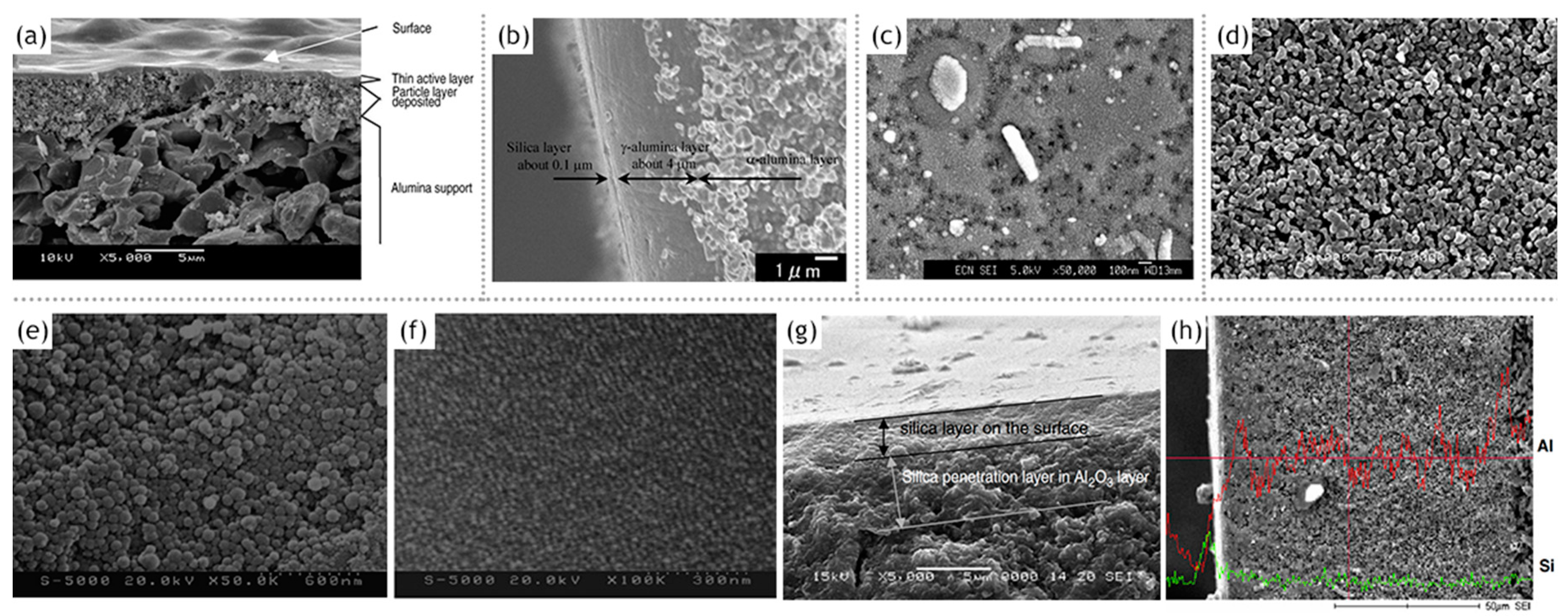 Materials 13 03354 g007