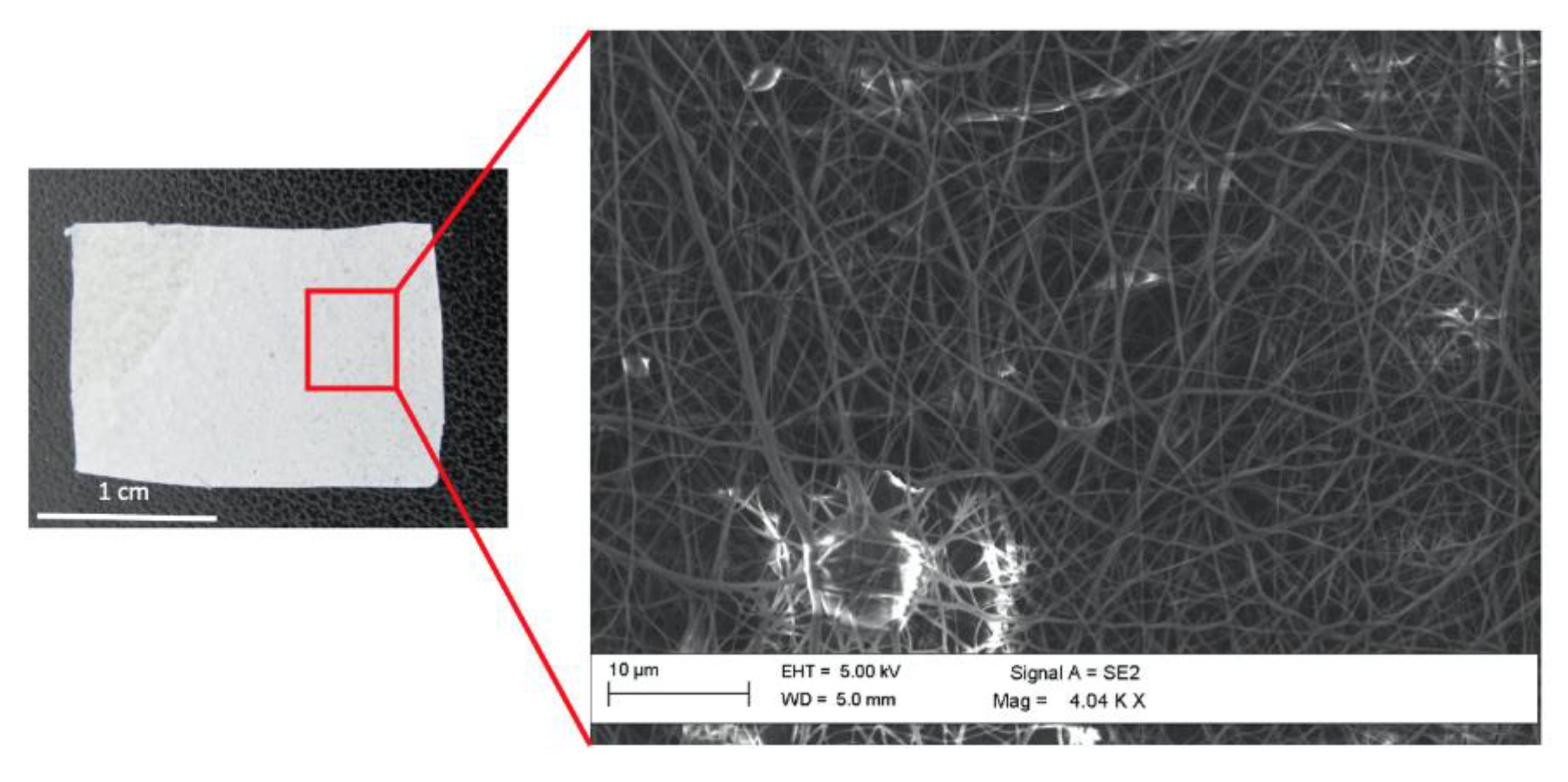 Materials 13 03361 g002