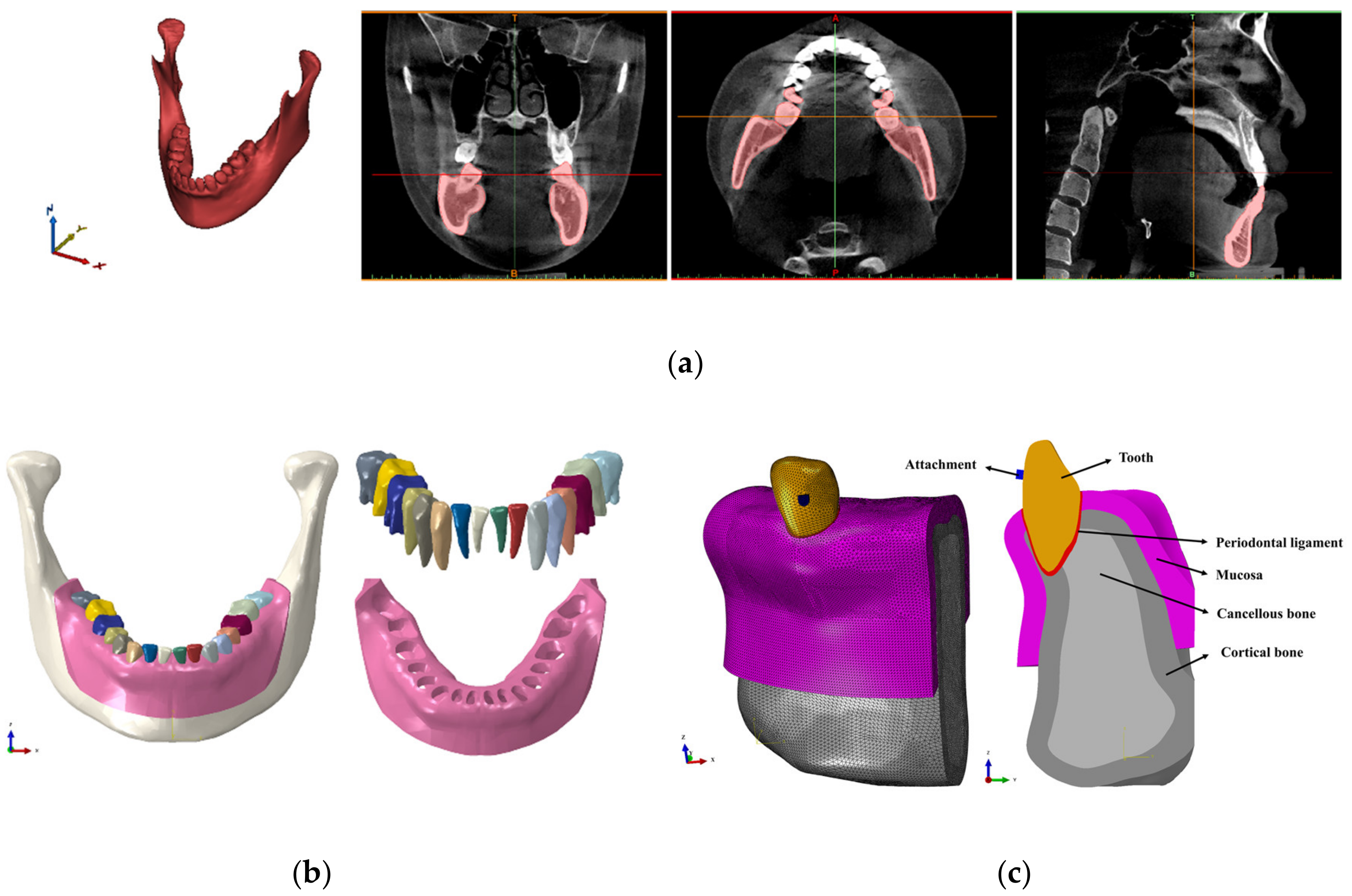 Materials 13 03369 g005
