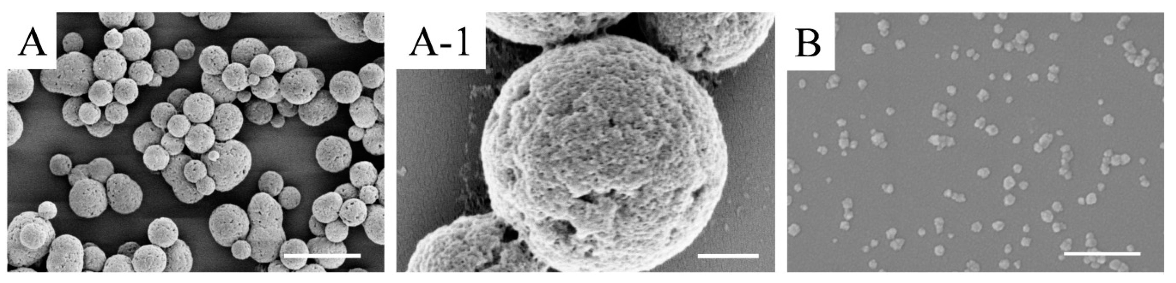 Materials 13 03372 g002