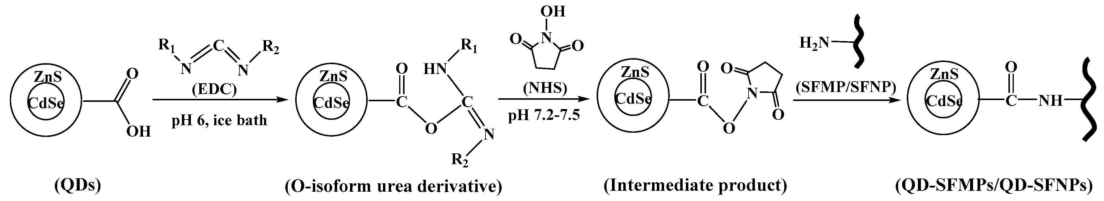 Materials 13 03372 g003