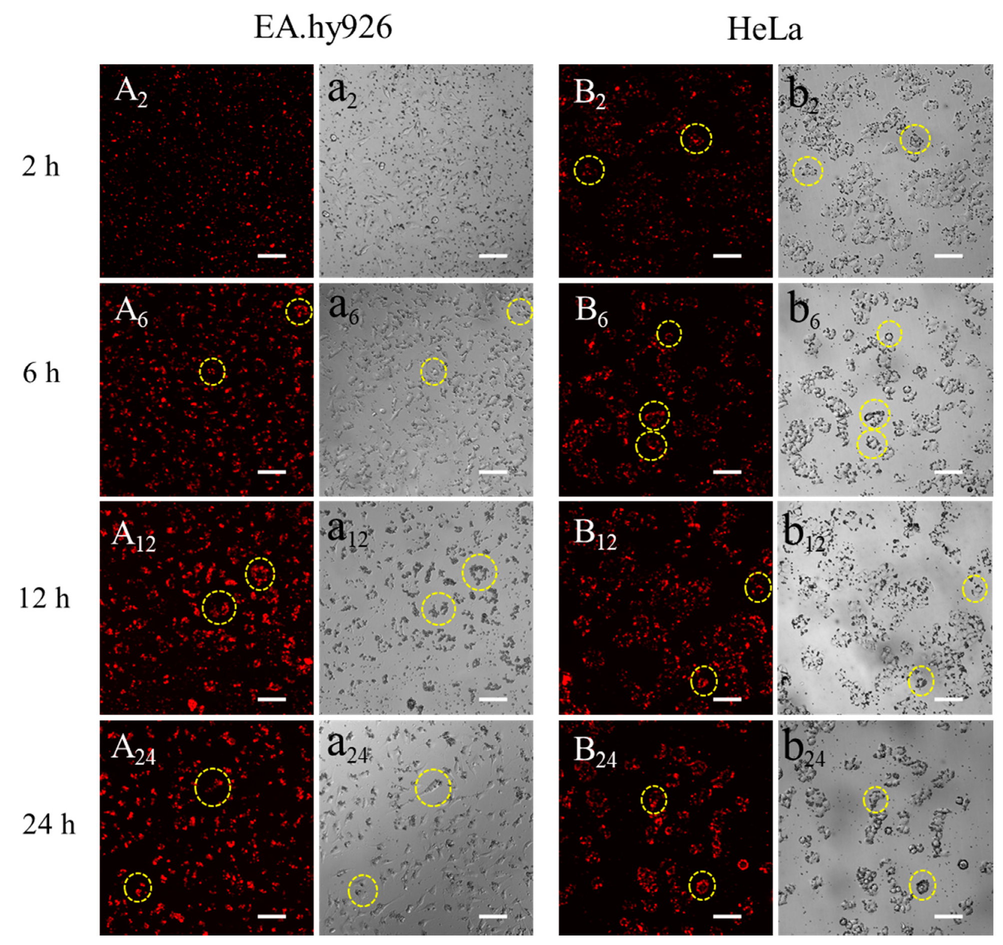 Materials 13 03372 g008
