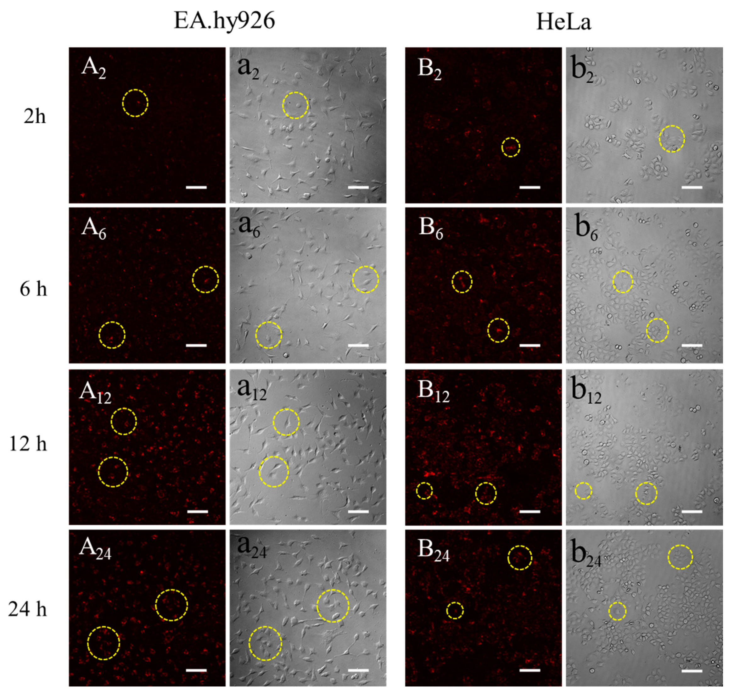 Materials 13 03372 g009