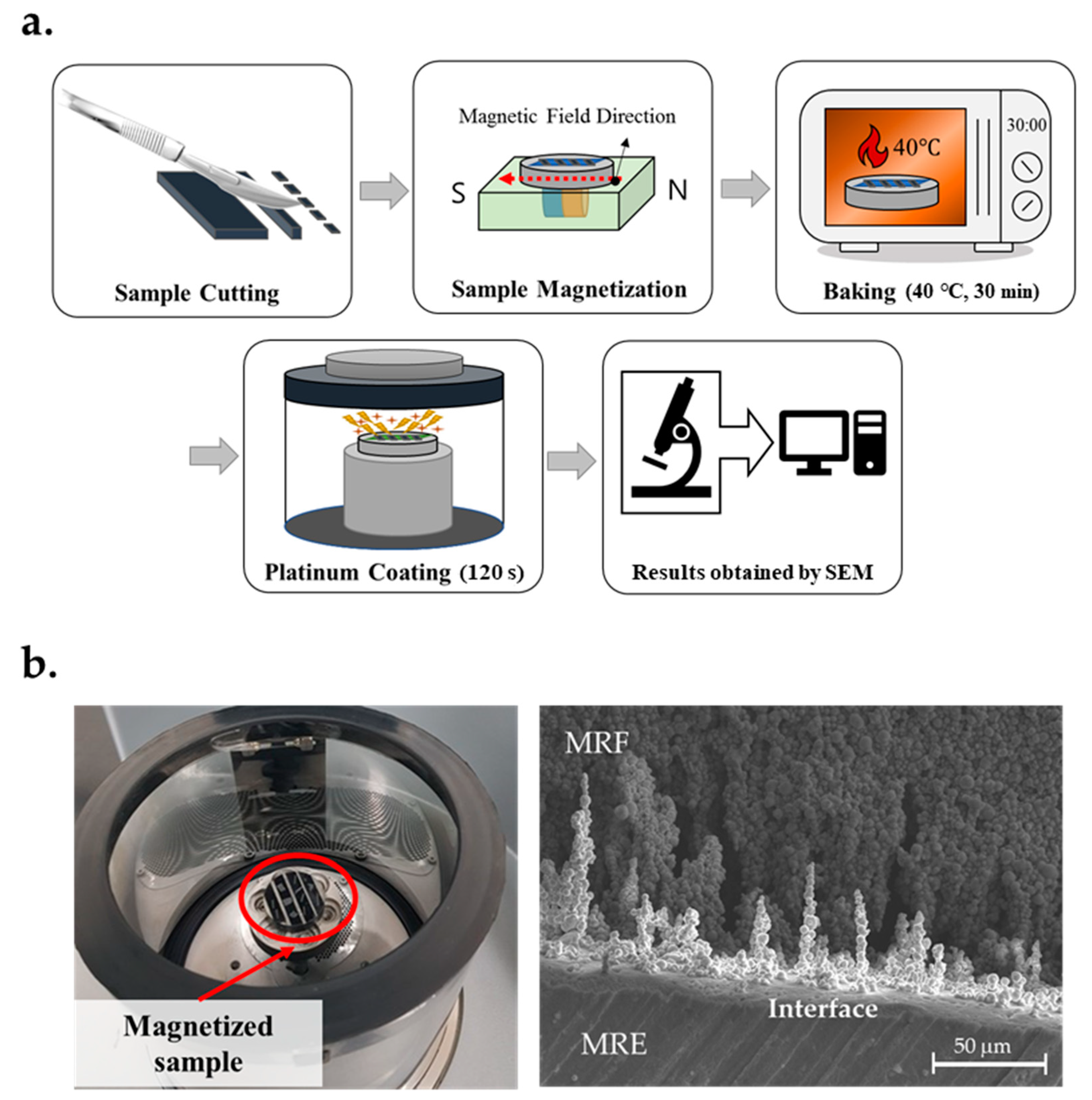 Materials 13 03378 g006
