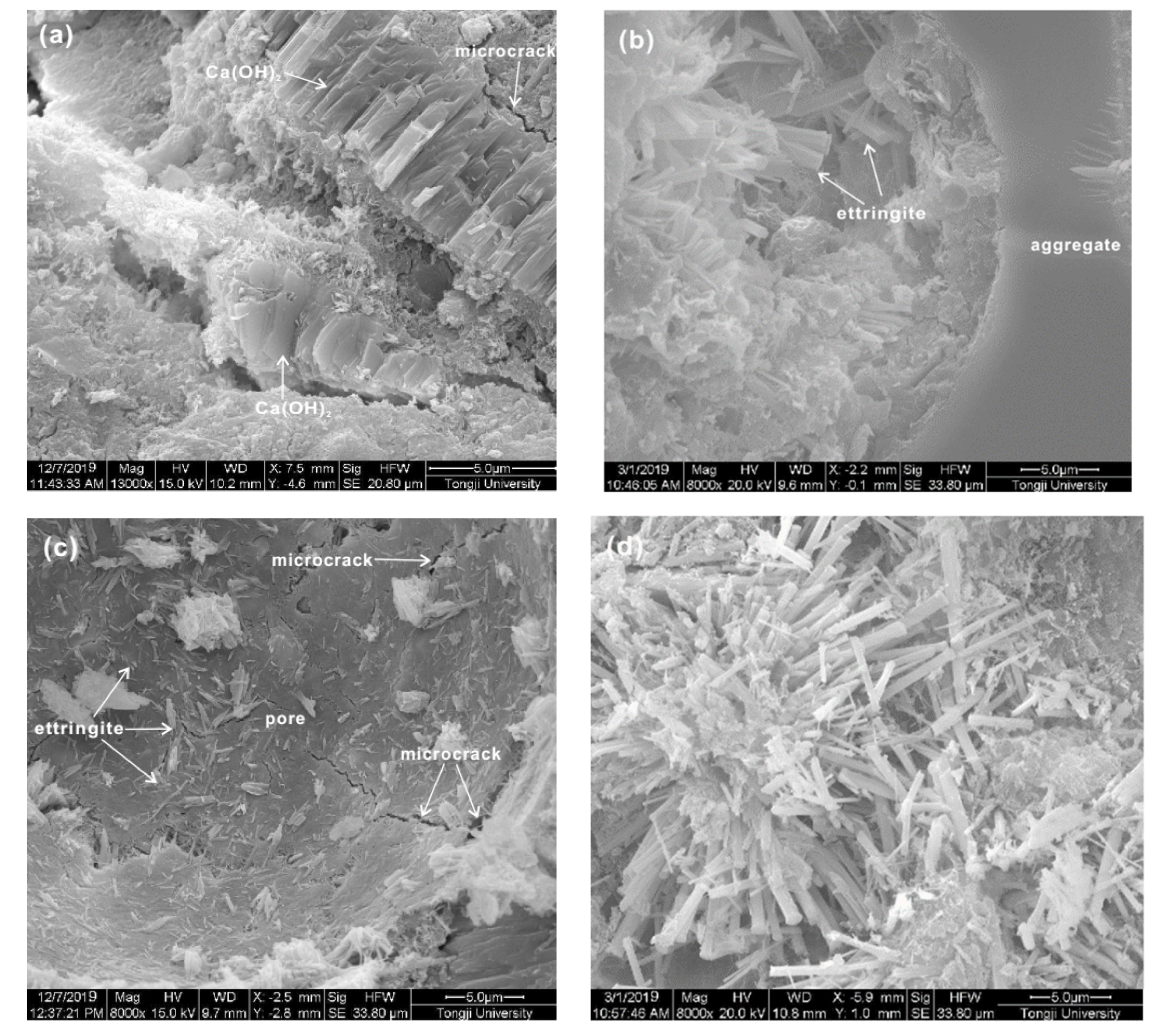 Materials 13 03383 g007