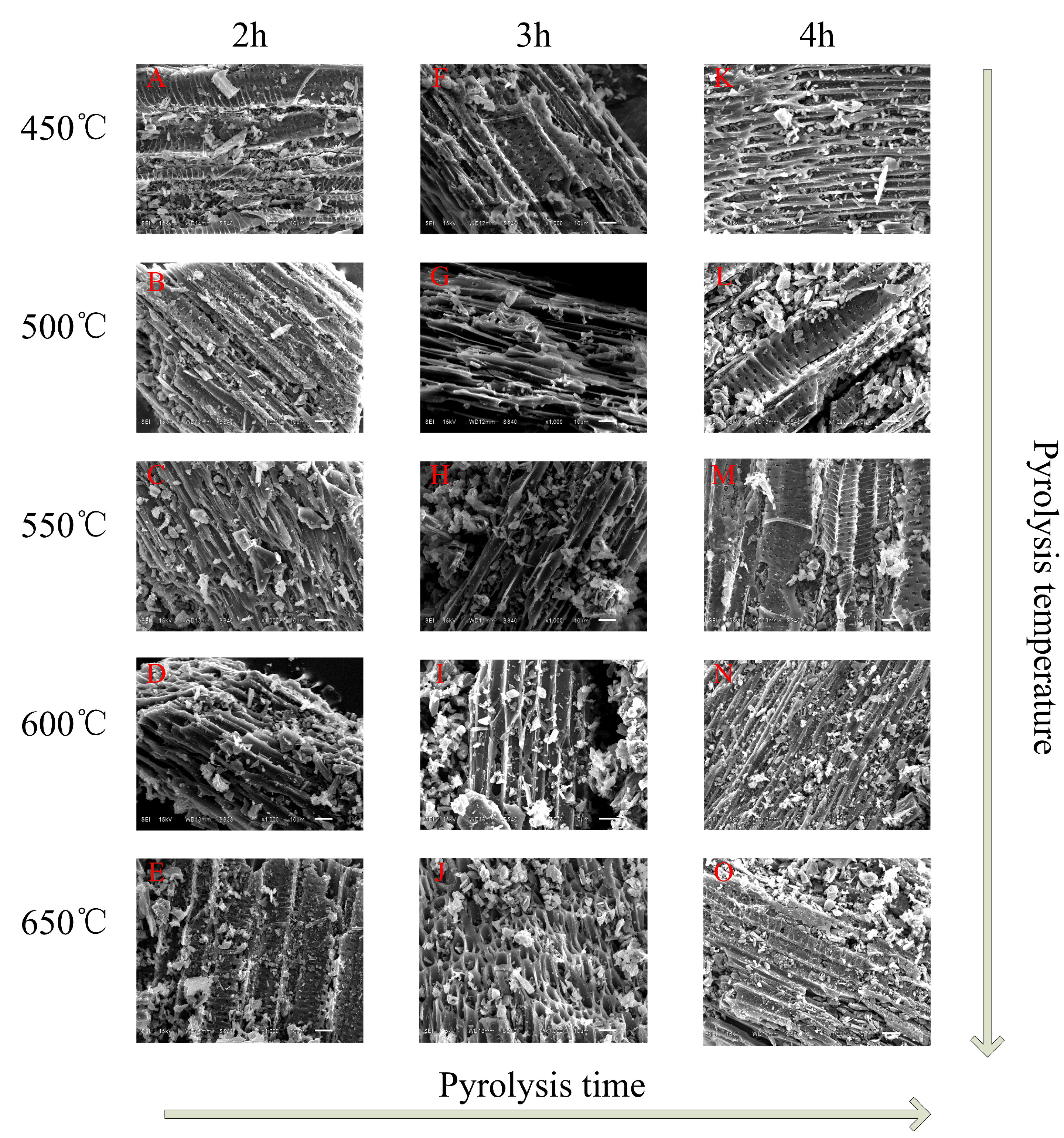 Materials 13 03391 g002