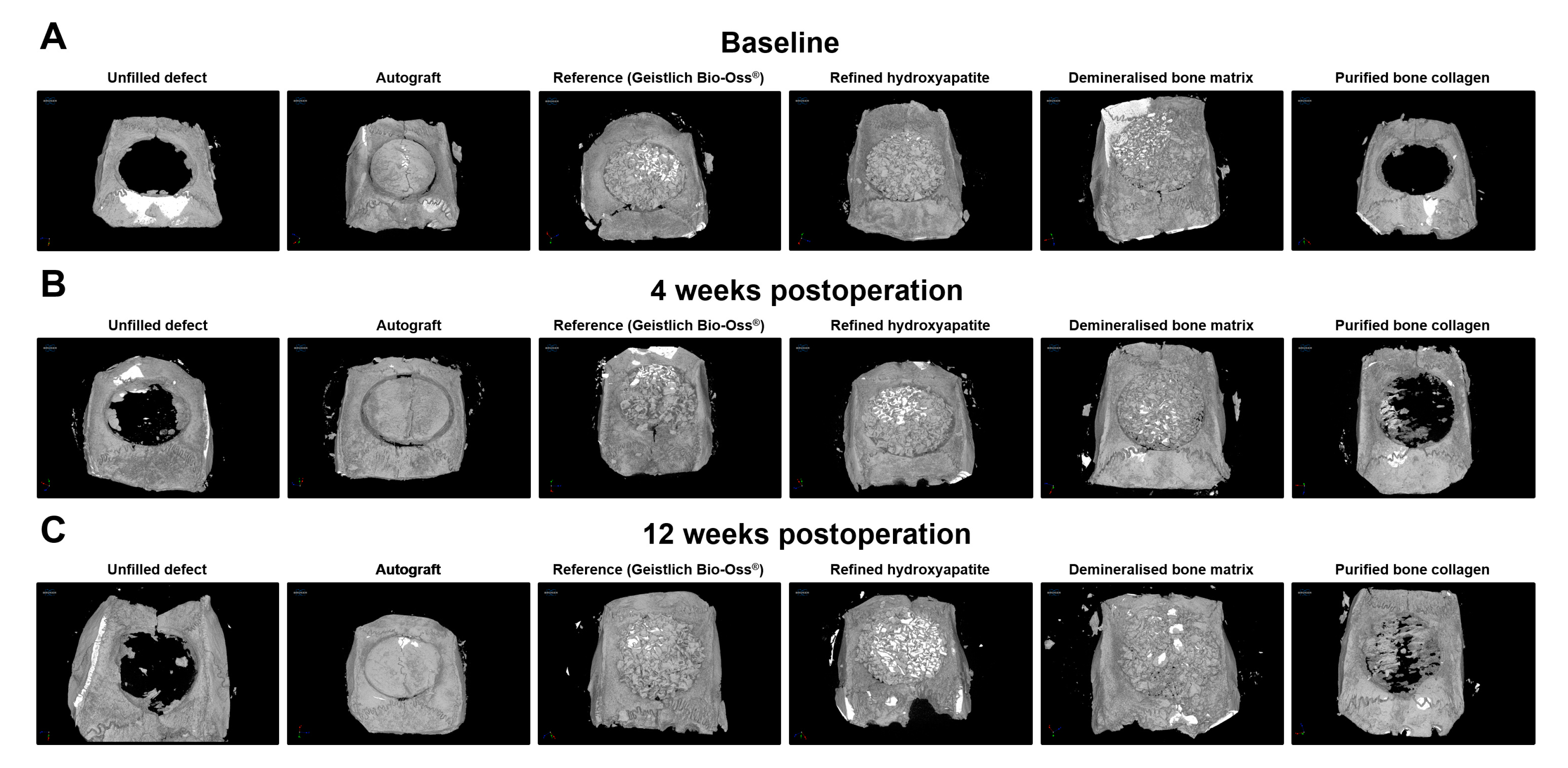 Materials 13 03393 g001 Materials 13 03393 g001