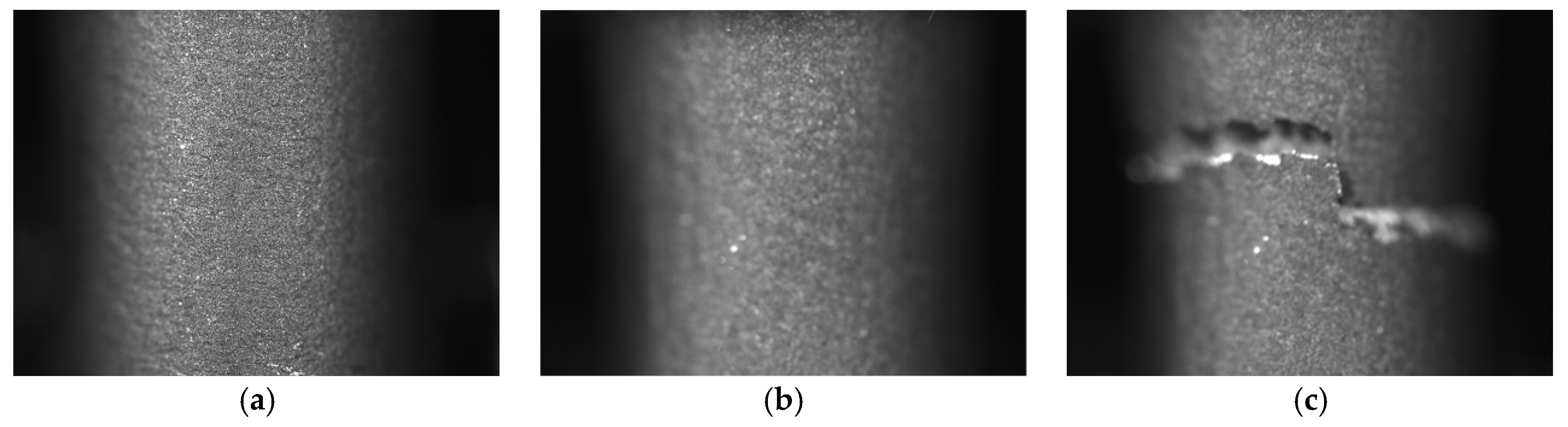 Materials 13 03398 g010