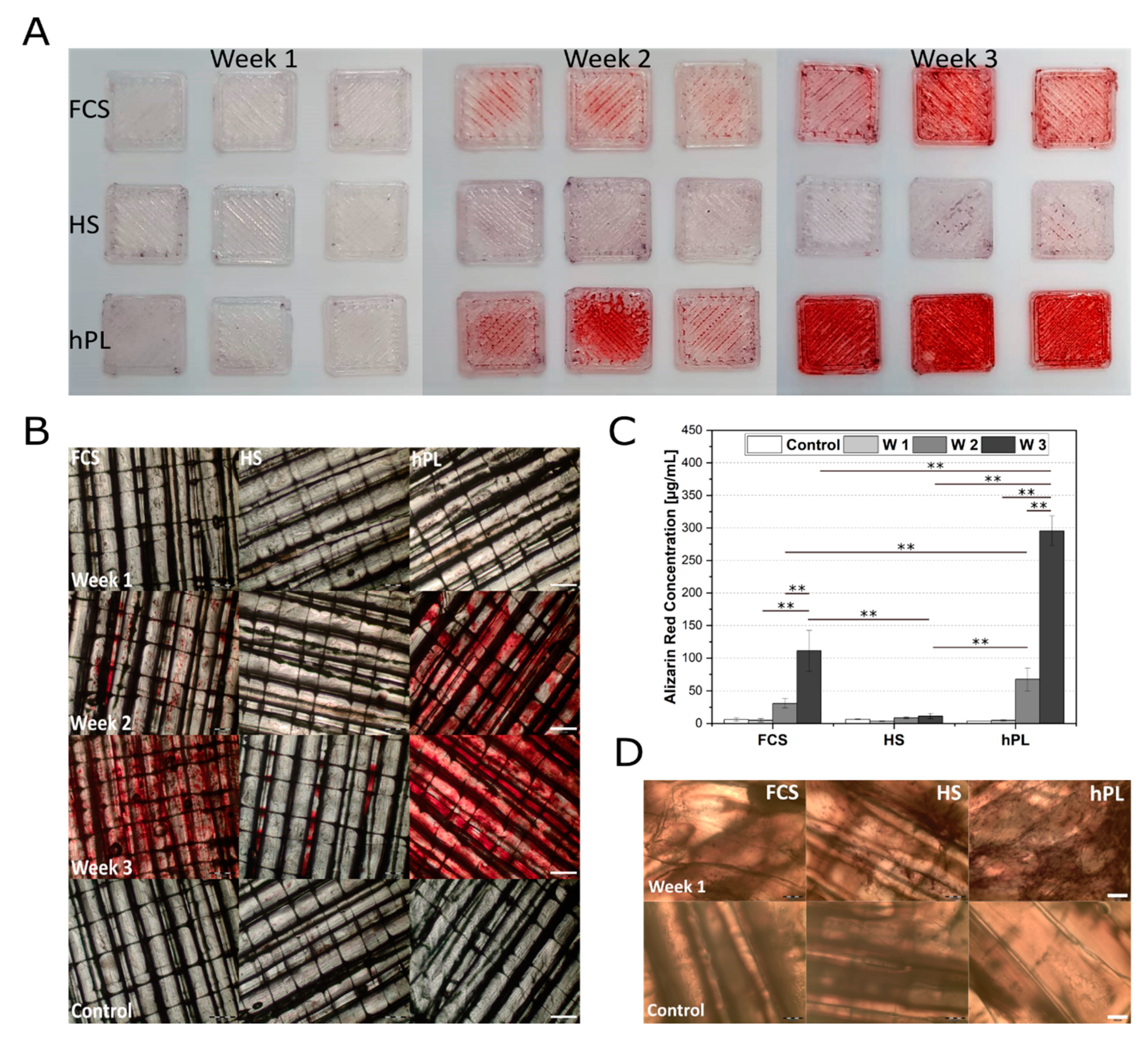 Materials 13 03399 g005 Materials 13 03399 g005