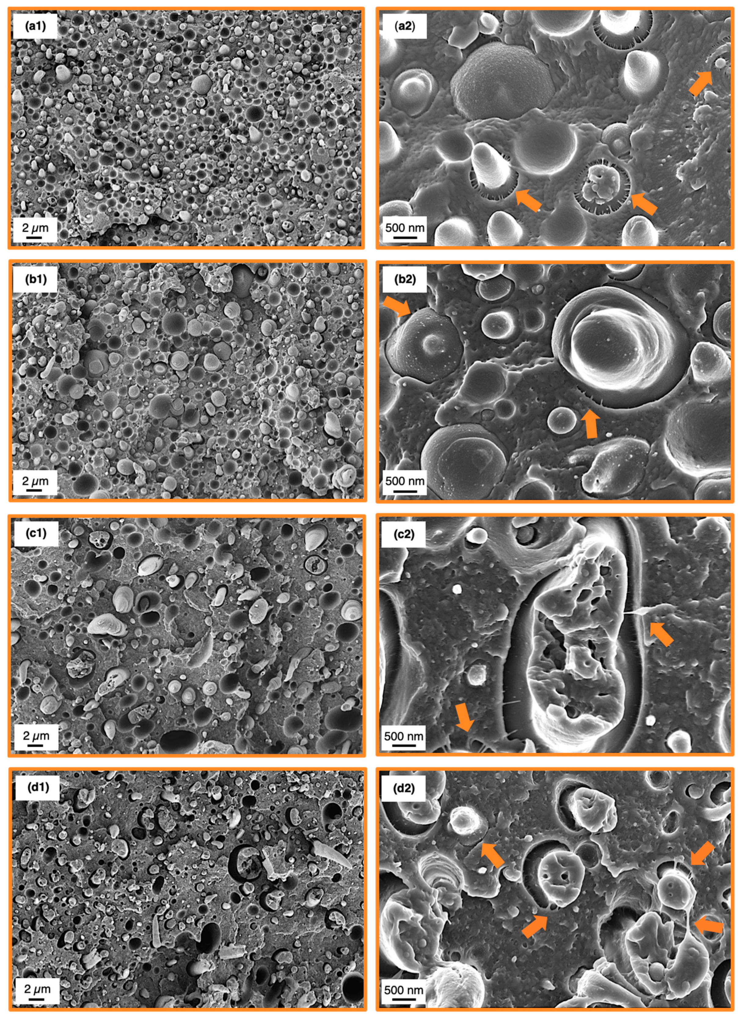 Materials 13 03400 g006