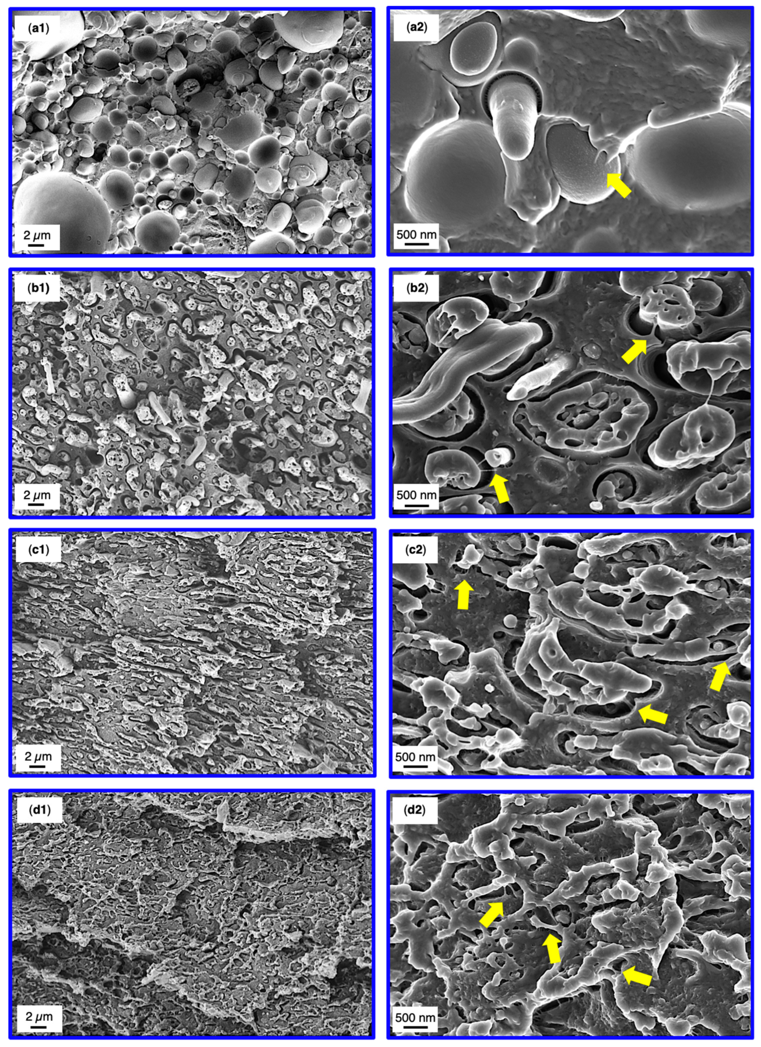 Materials 13 03400 g007