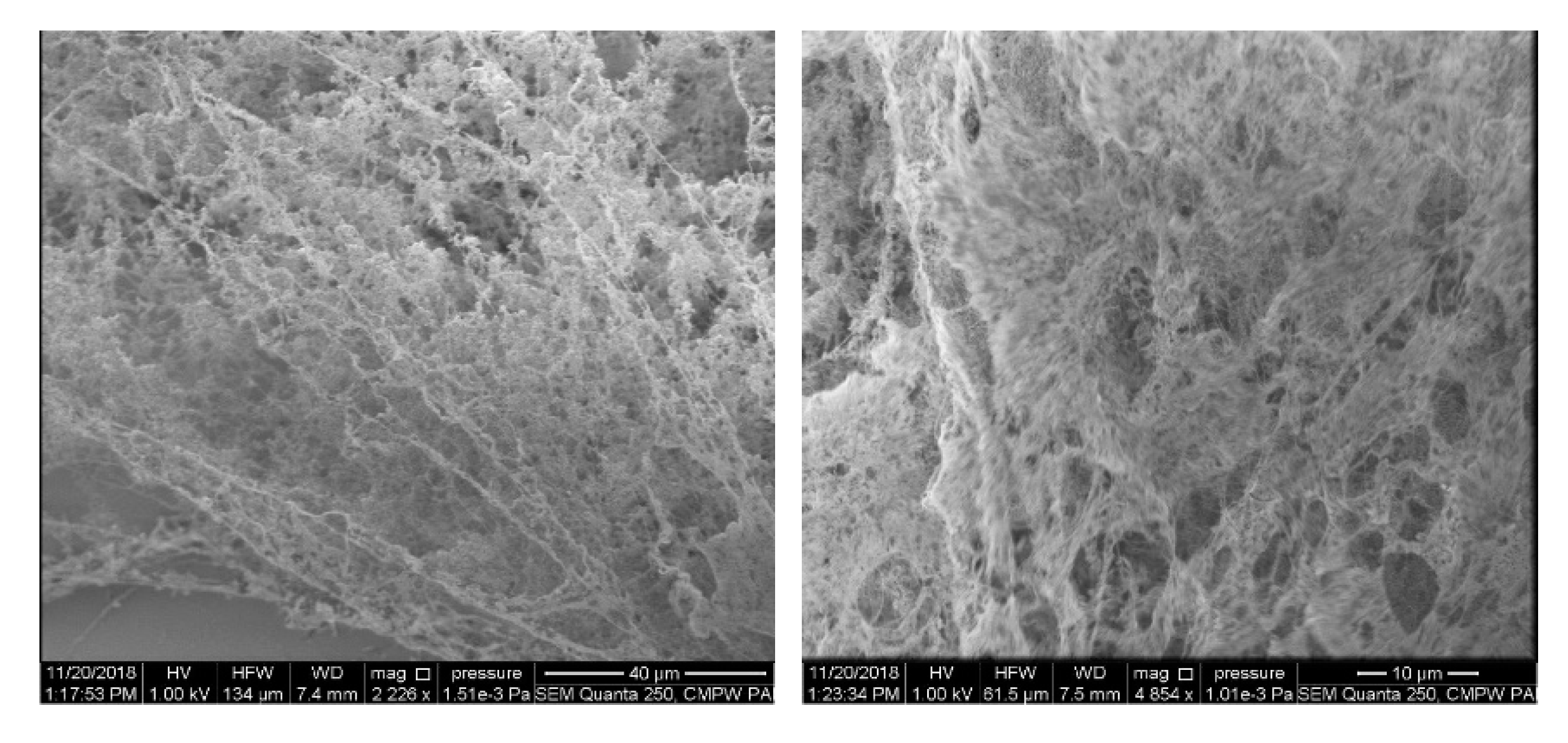 Materials 13 03403 g005 Materials 13 03403 g005