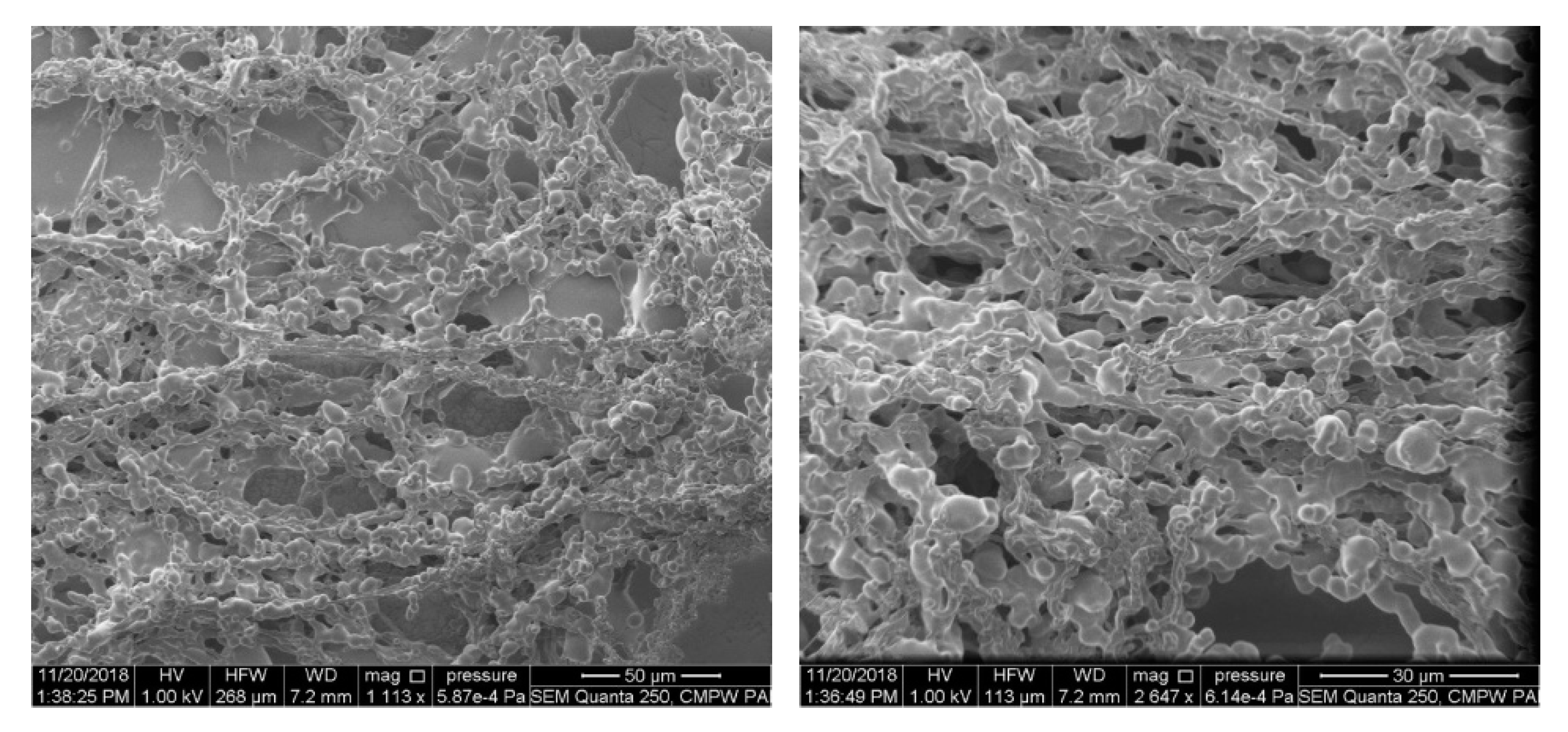 Materials 13 03403 g013 Materials 13 03403 g013