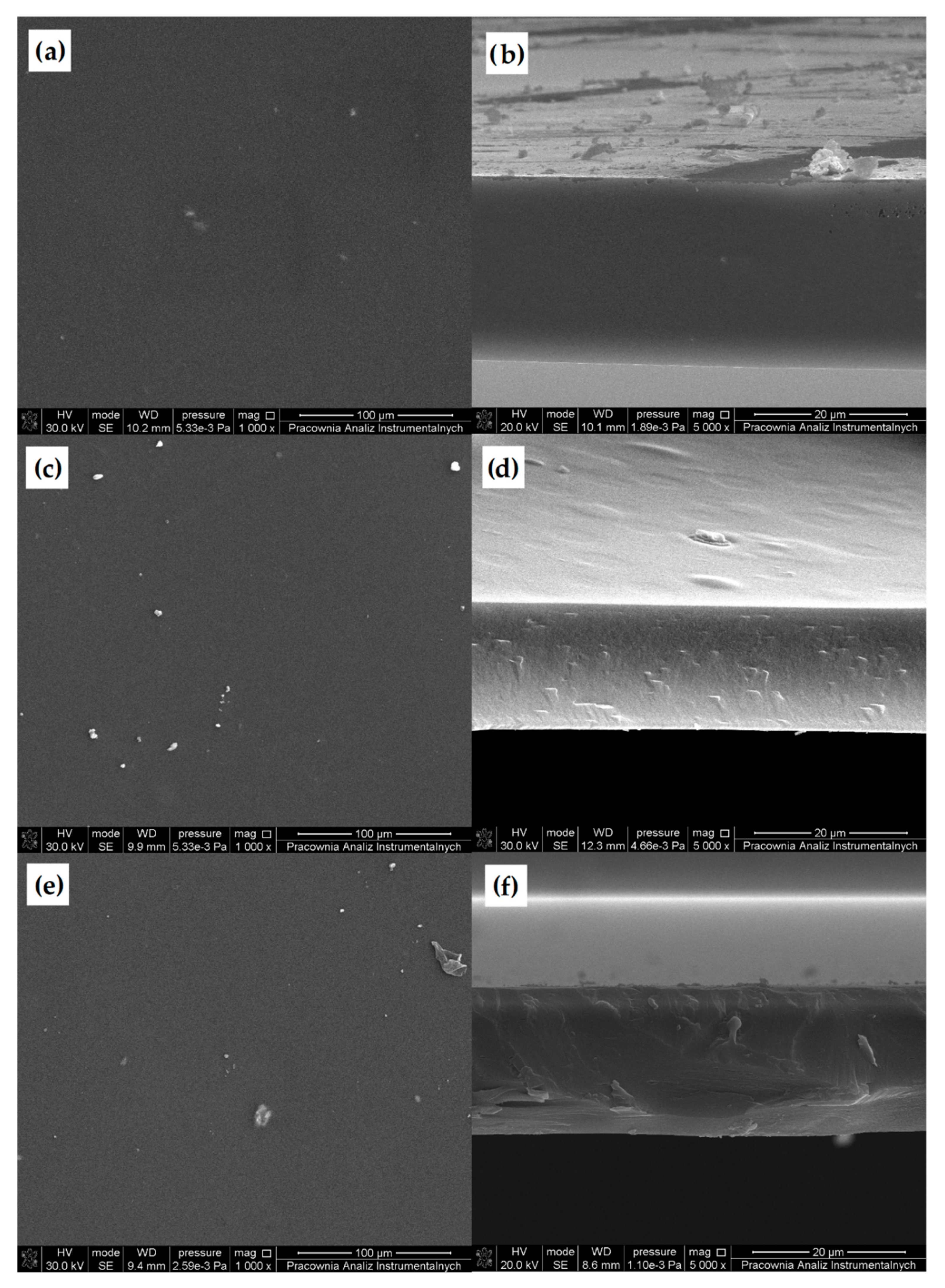 Materials 13 03413 g010