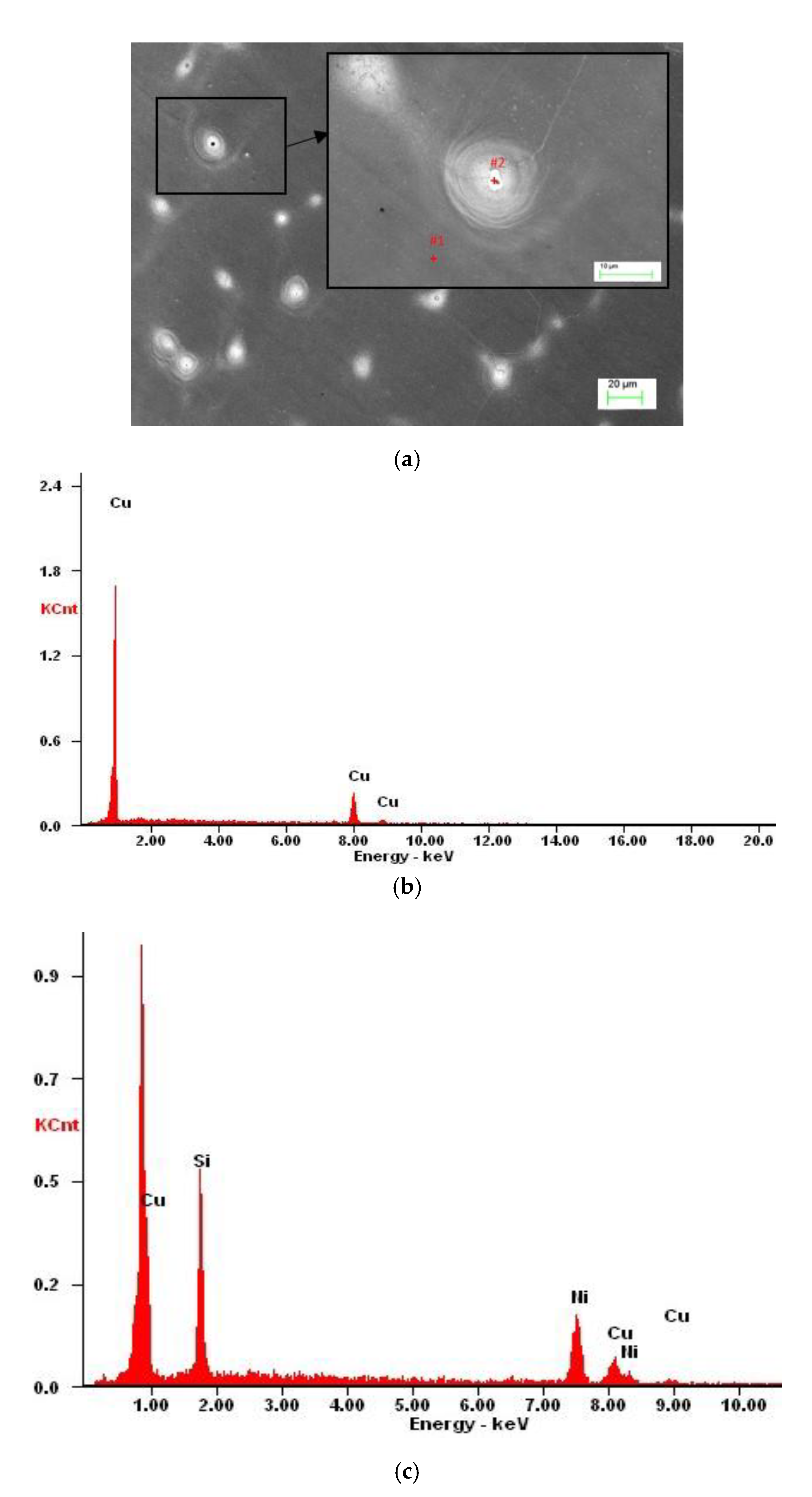 Materials 13 03416 g004