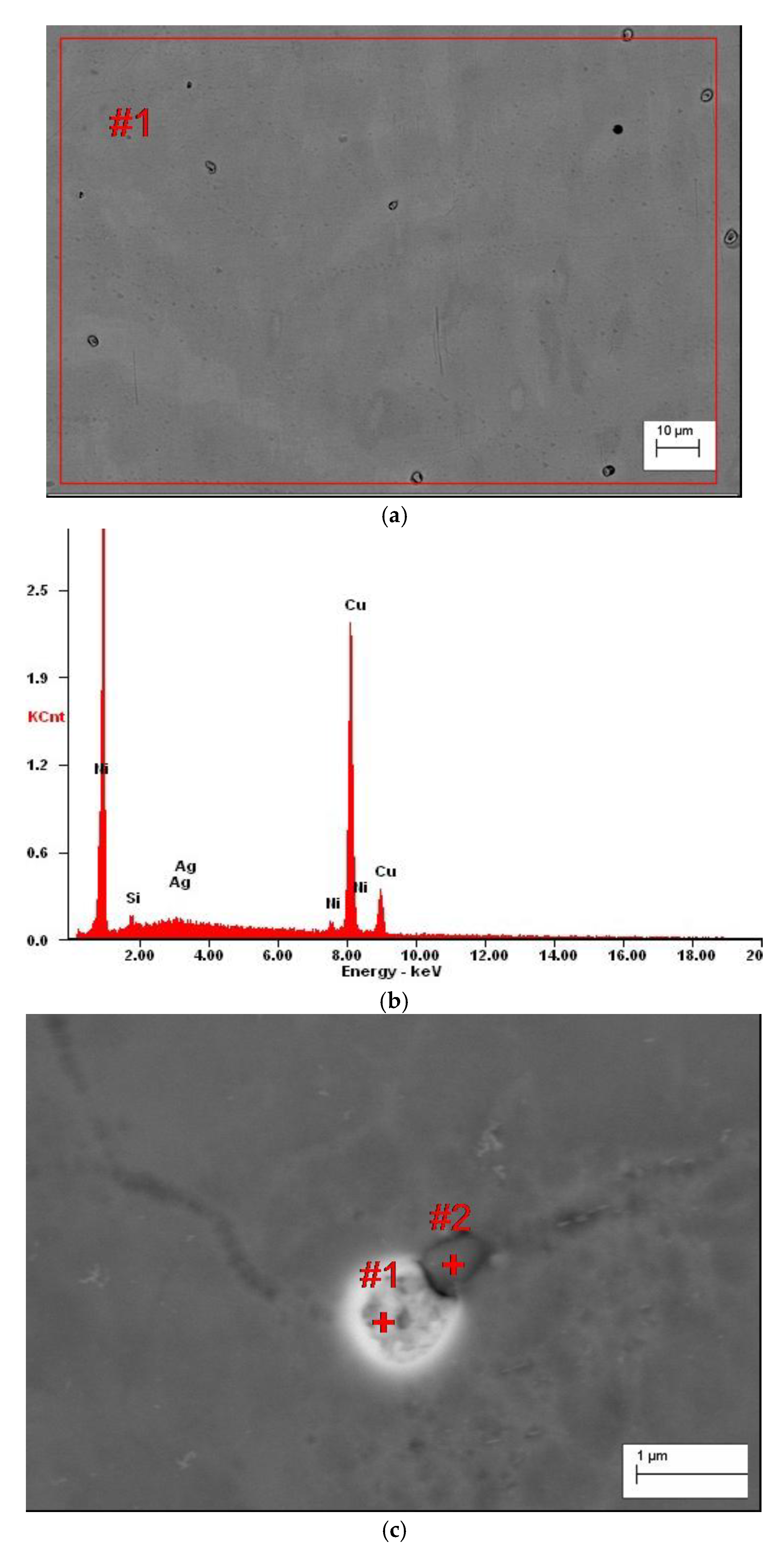 Materials 13 03416 g006a