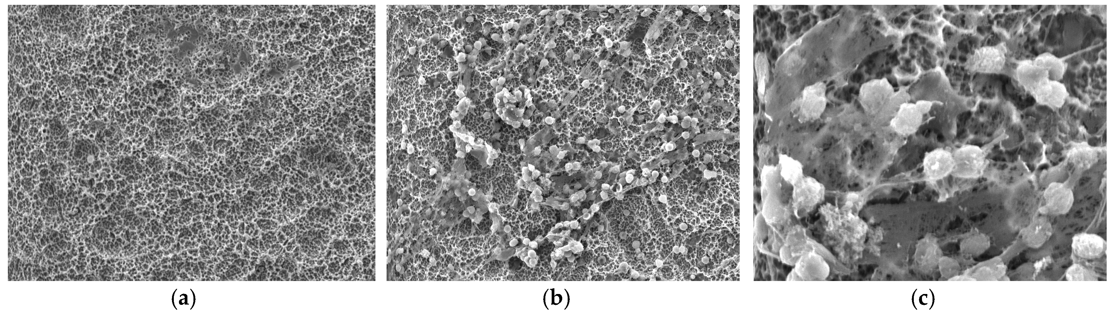 Materials 13 03421 g004