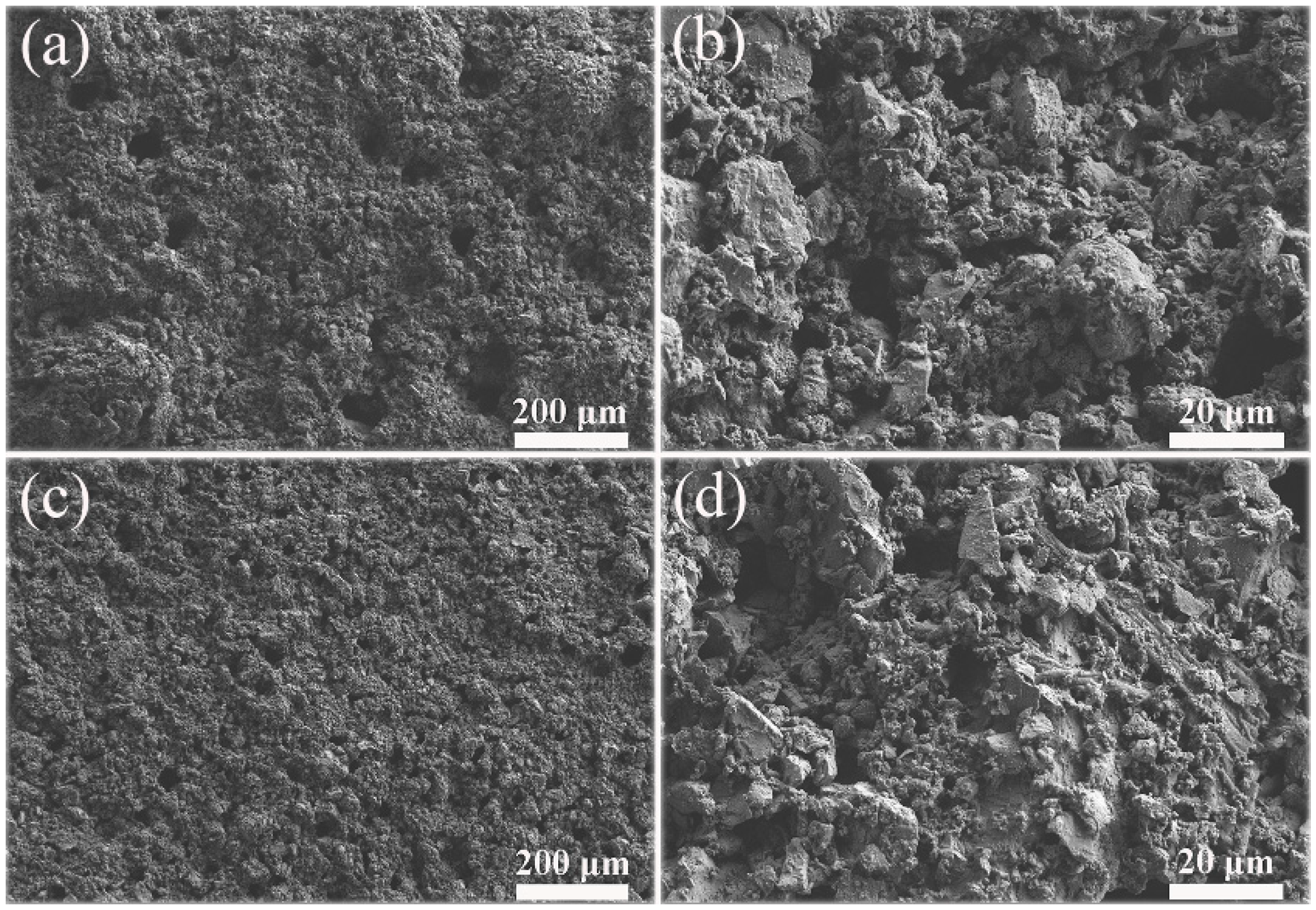 Materials 13 03431 g007