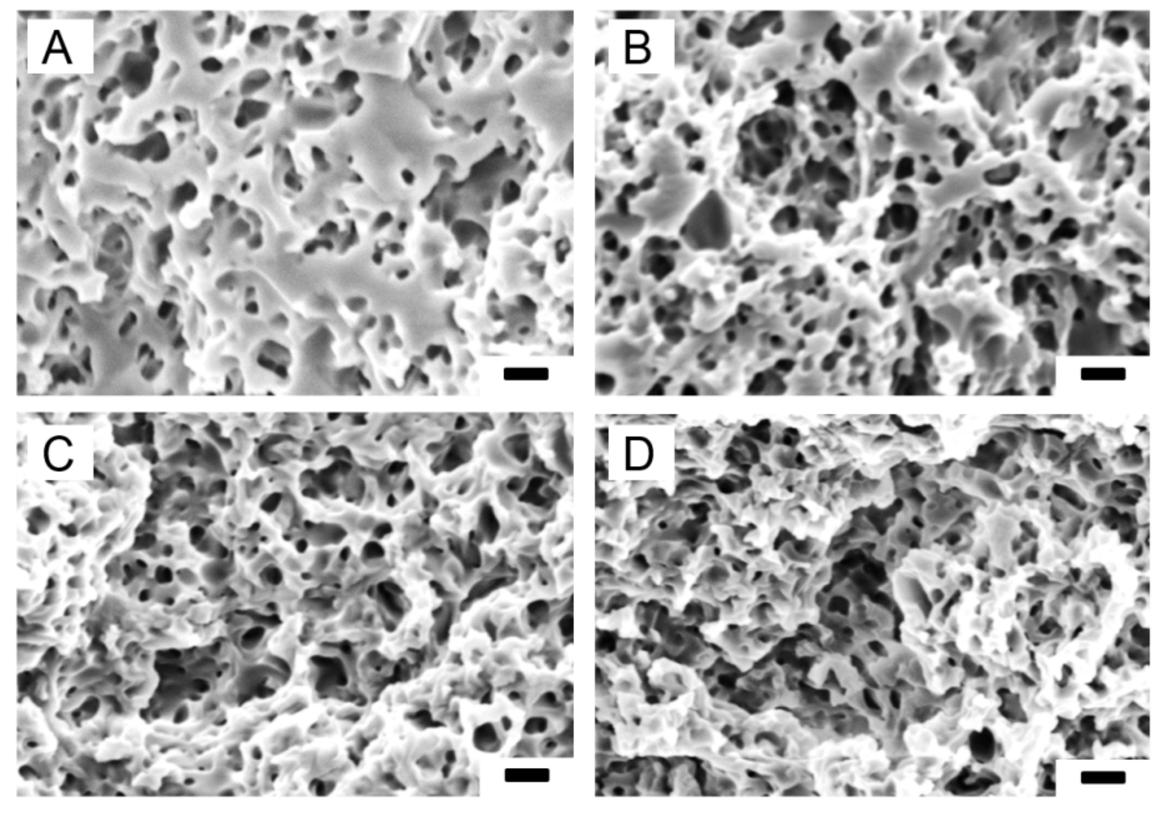 Materials 13 03435 g003 Materials 13 03435 g003