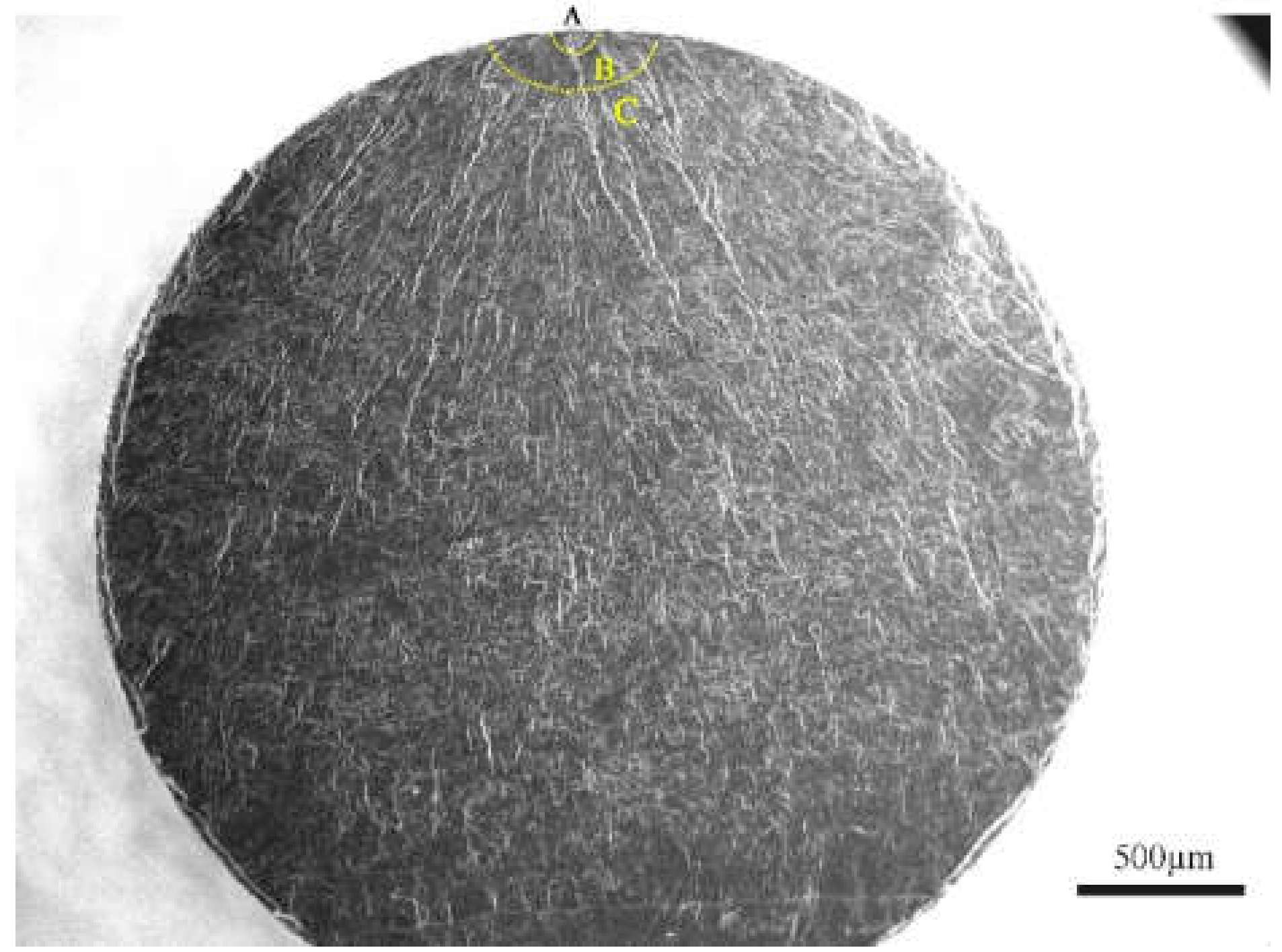 Materials 13 03444 g008 Materials 13 03444 g008