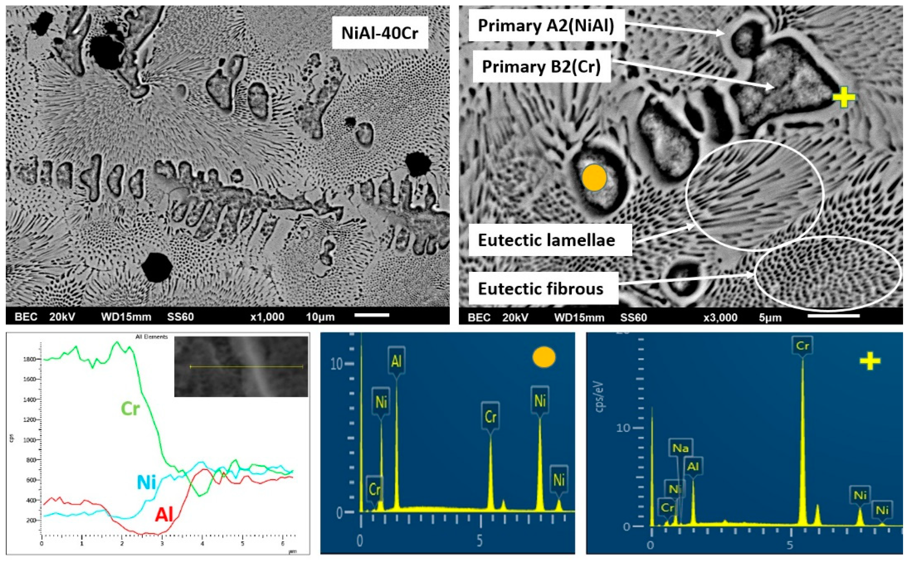 Materials 13 03445 g004