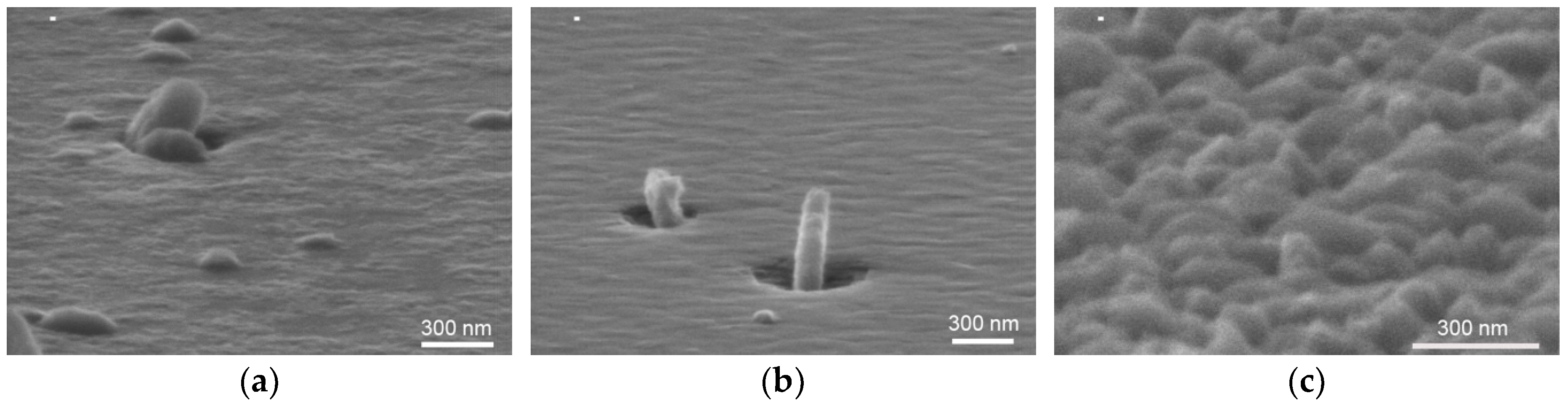 Materials 13 03447 g002