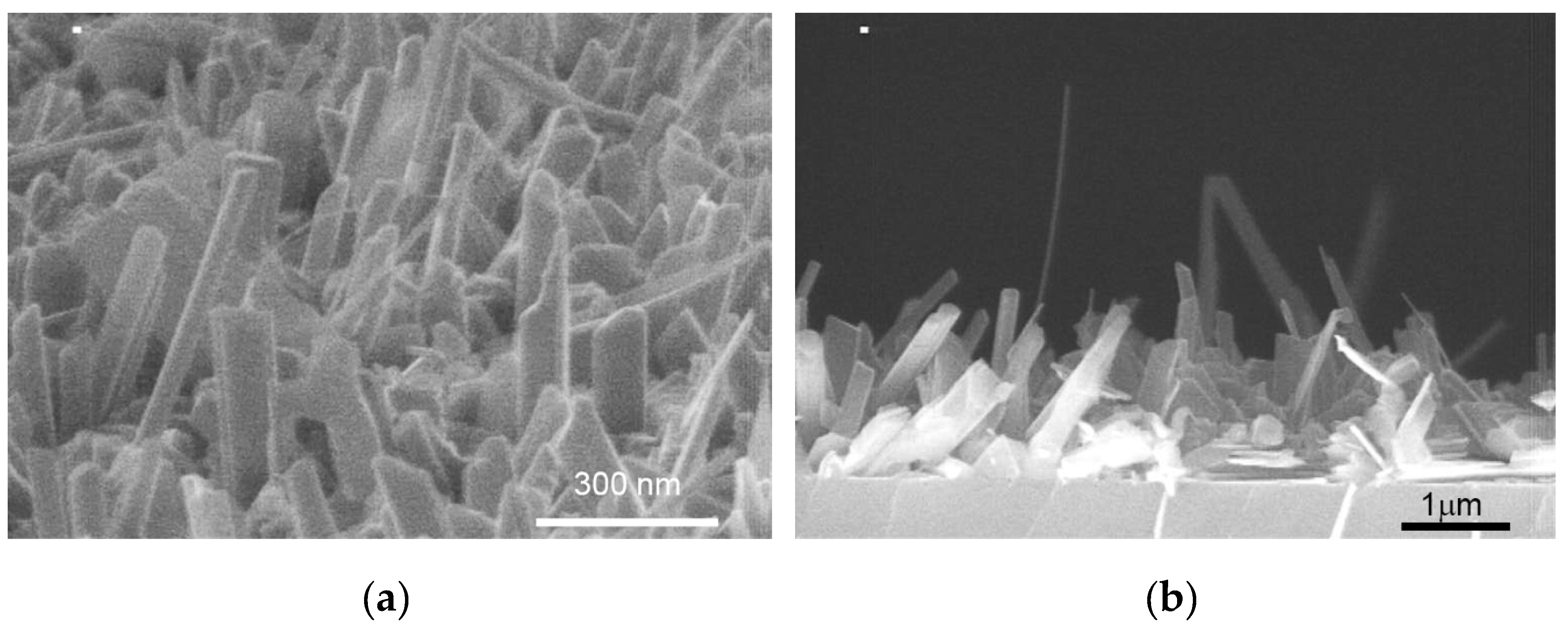 Materials 13 03447 g008