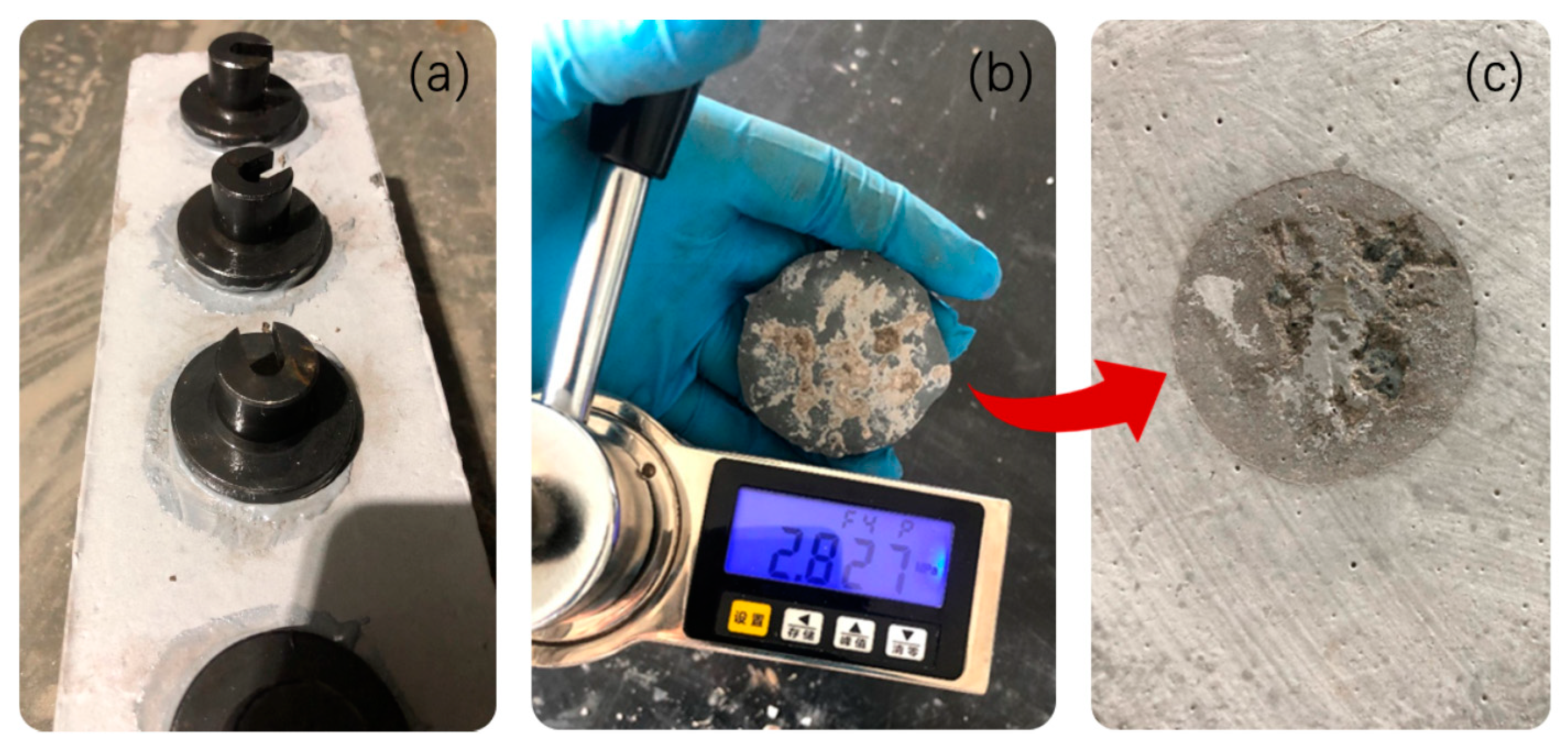 Materials 13 03448 g004