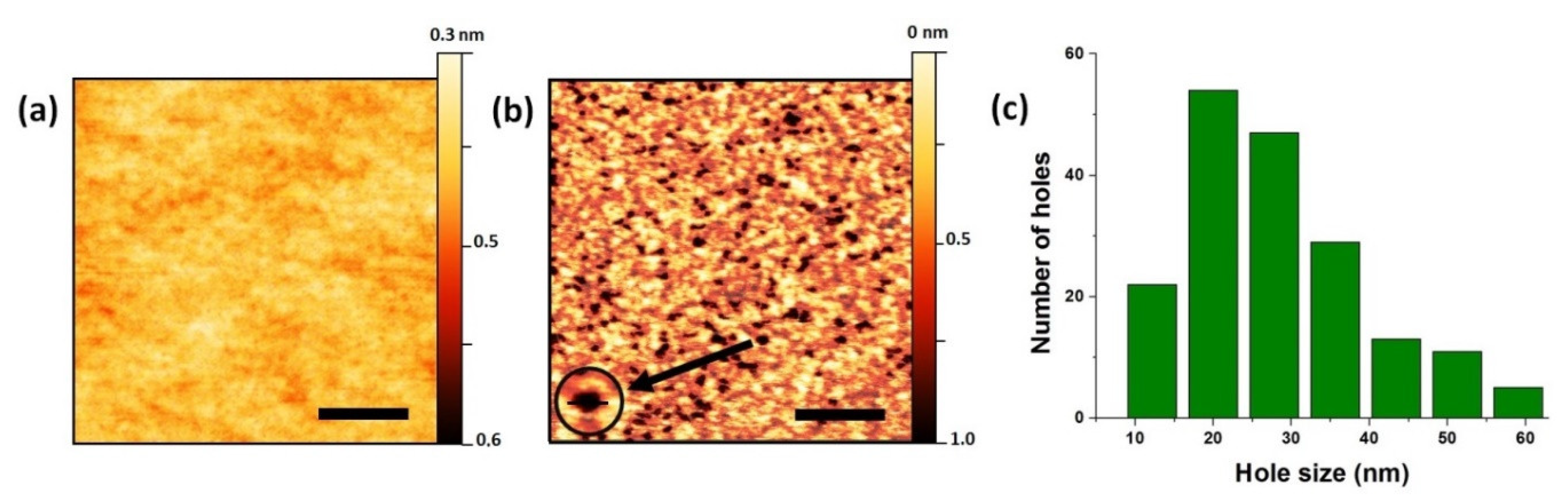 Materials 13 03449 g001