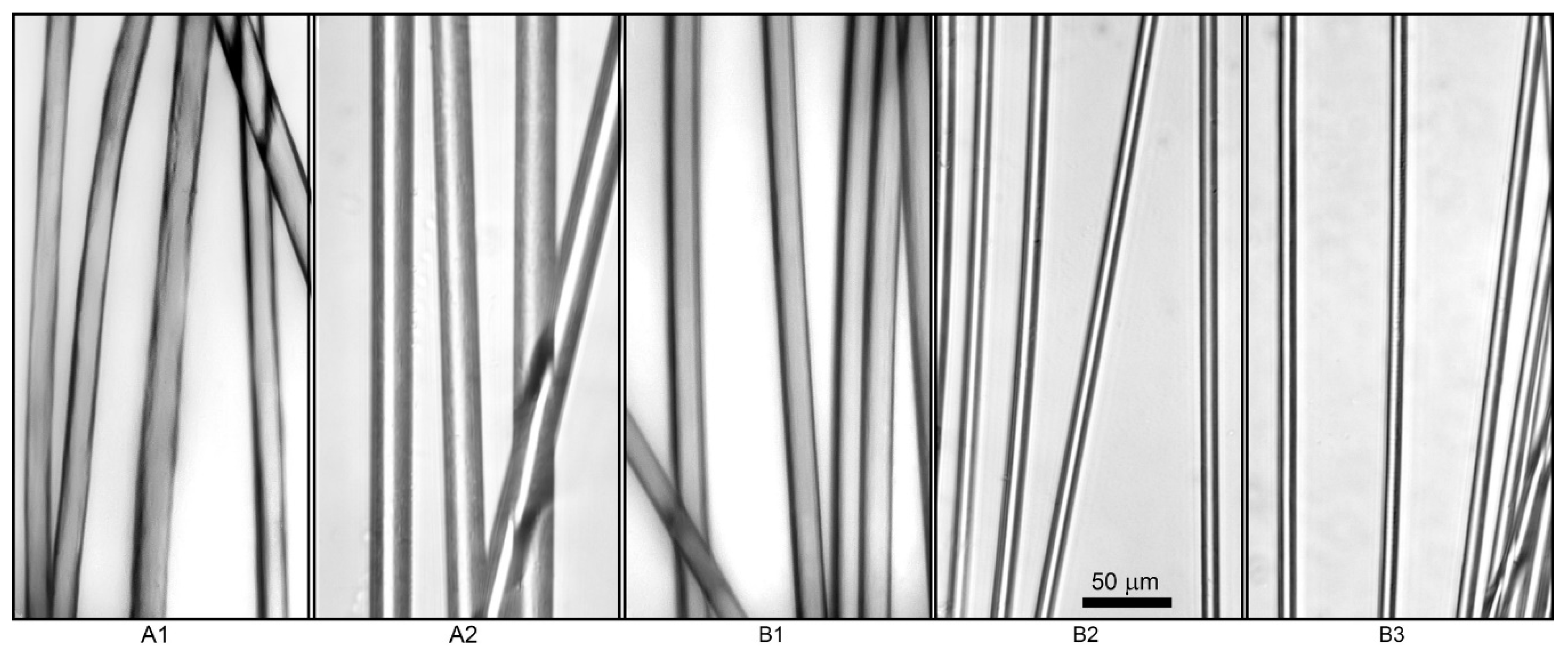 Materials 13 03454 g013