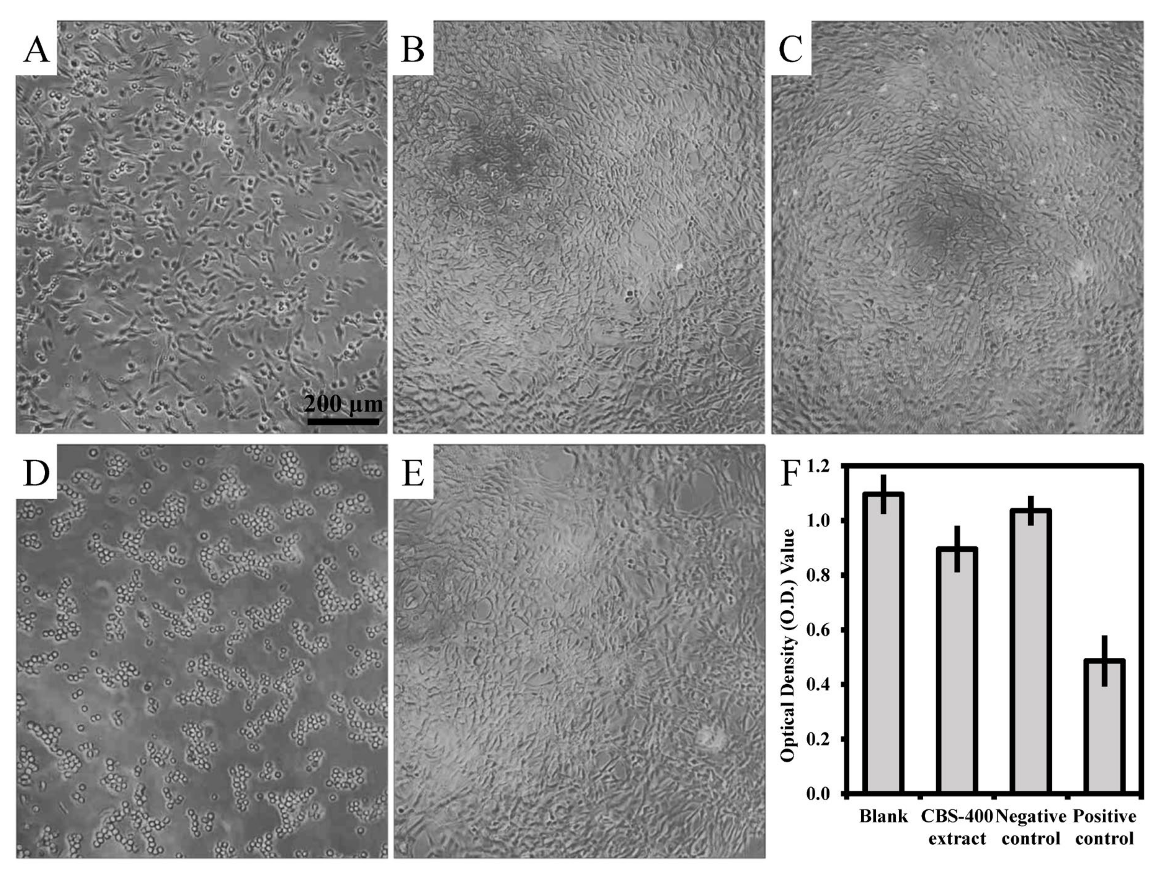 Materials 13 03458 g007