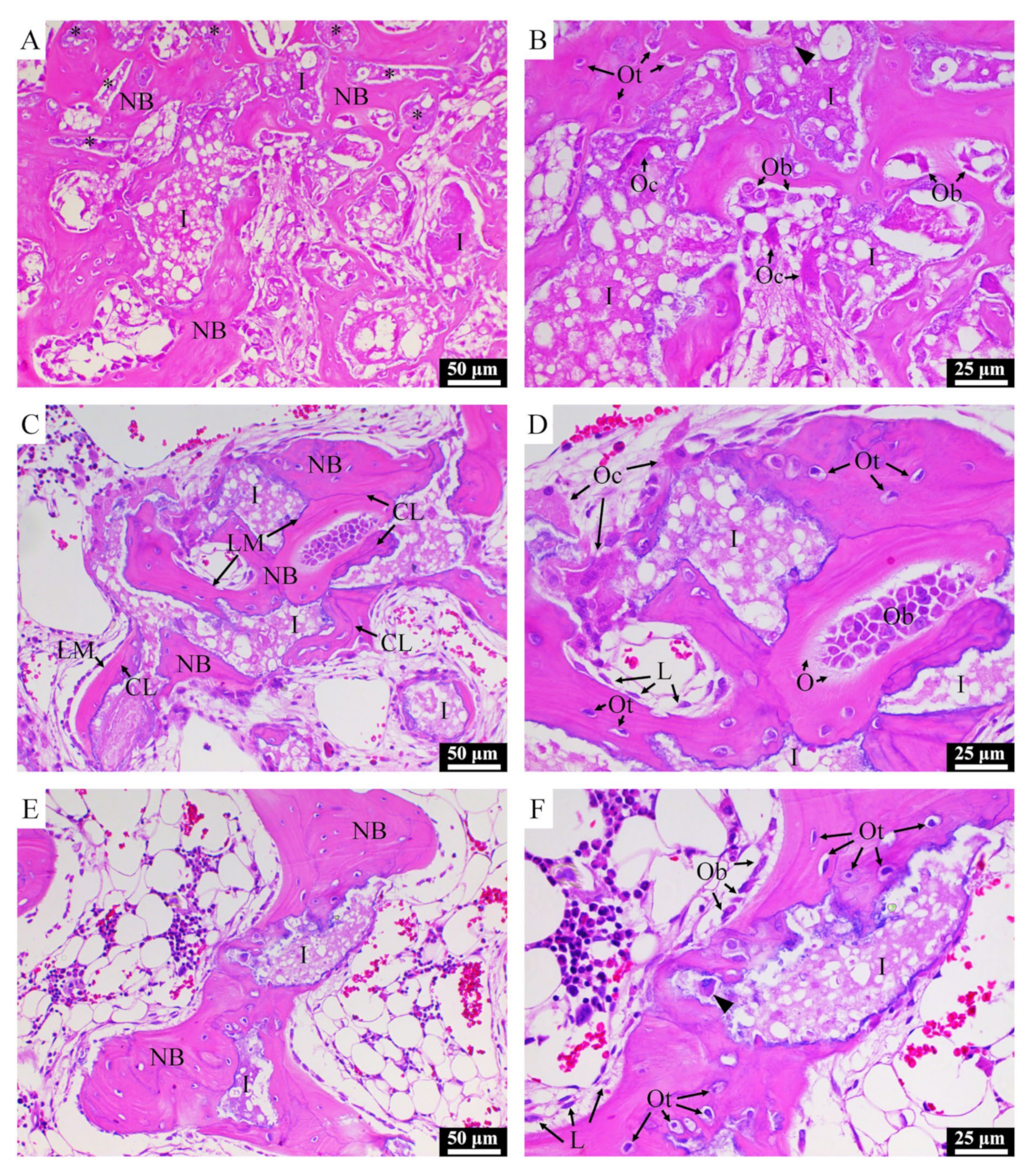 Materials 13 03458 g008