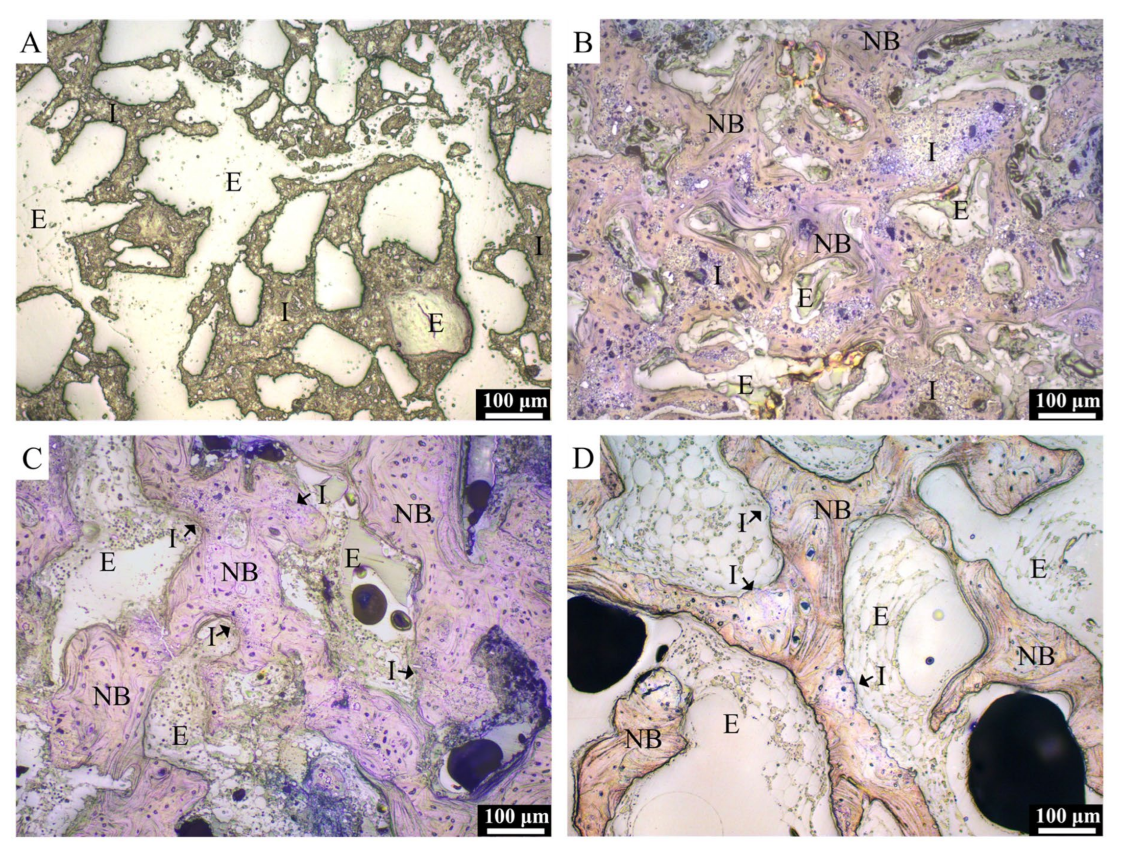 Materials 13 03458 g009