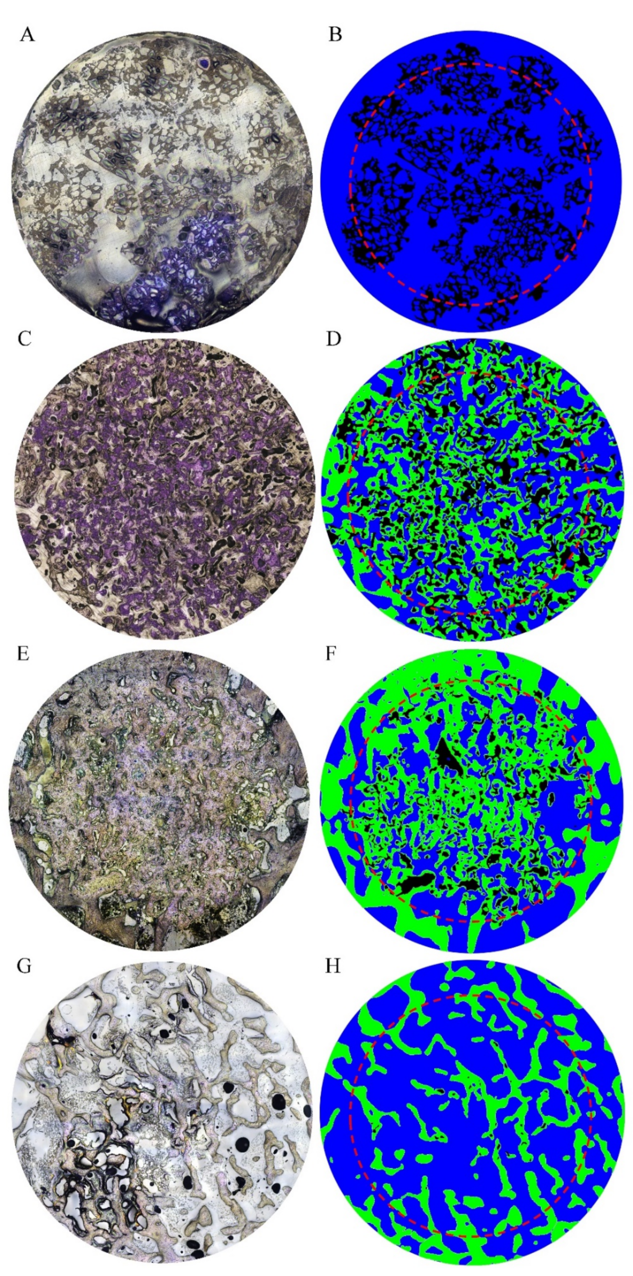 Materials 13 03458 g010