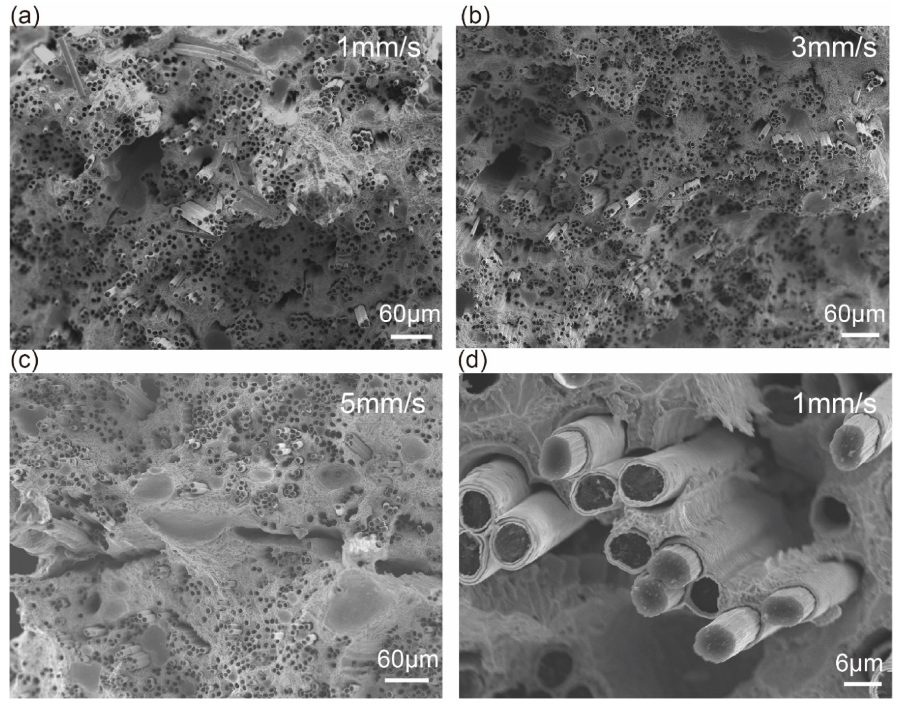 Materials 13 03463 g004