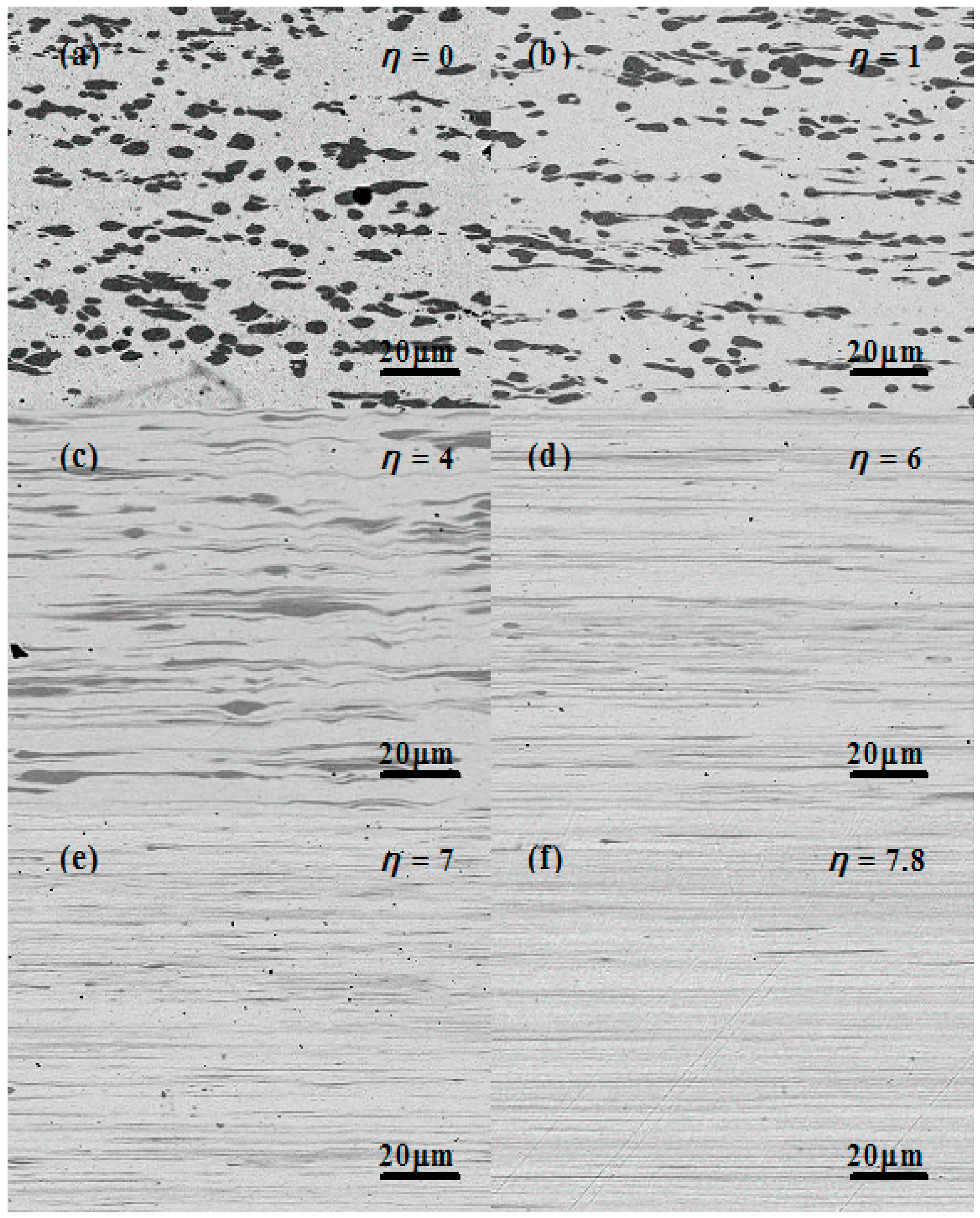 Materials 13 03464 g001