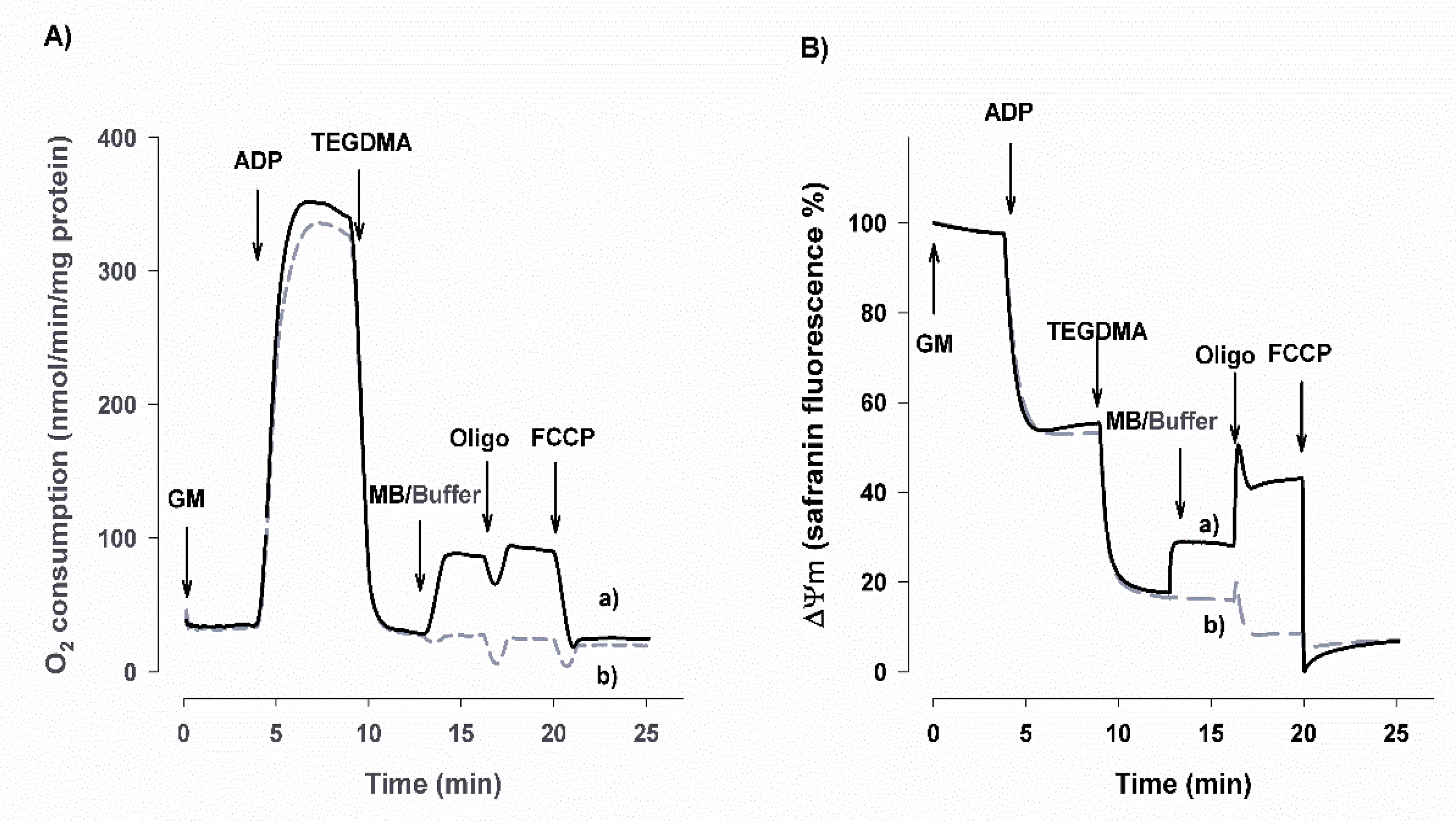 Materials 13 03472 g001 Materials 13 03472 g001
