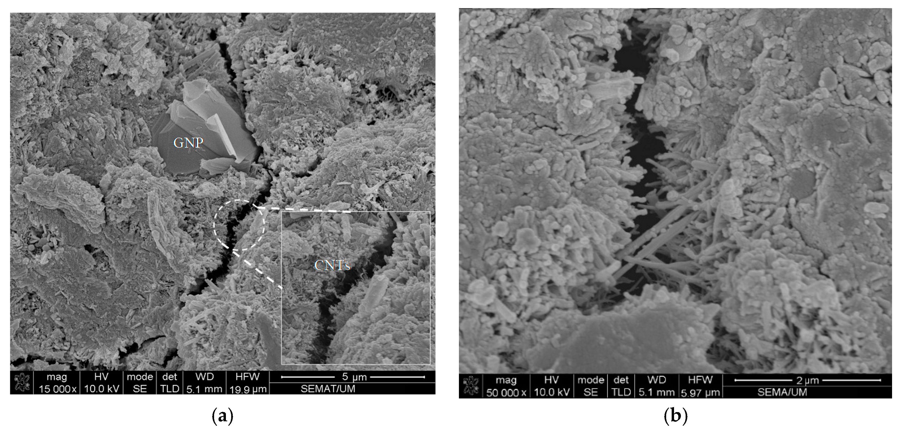 Materials 13 03484 g011