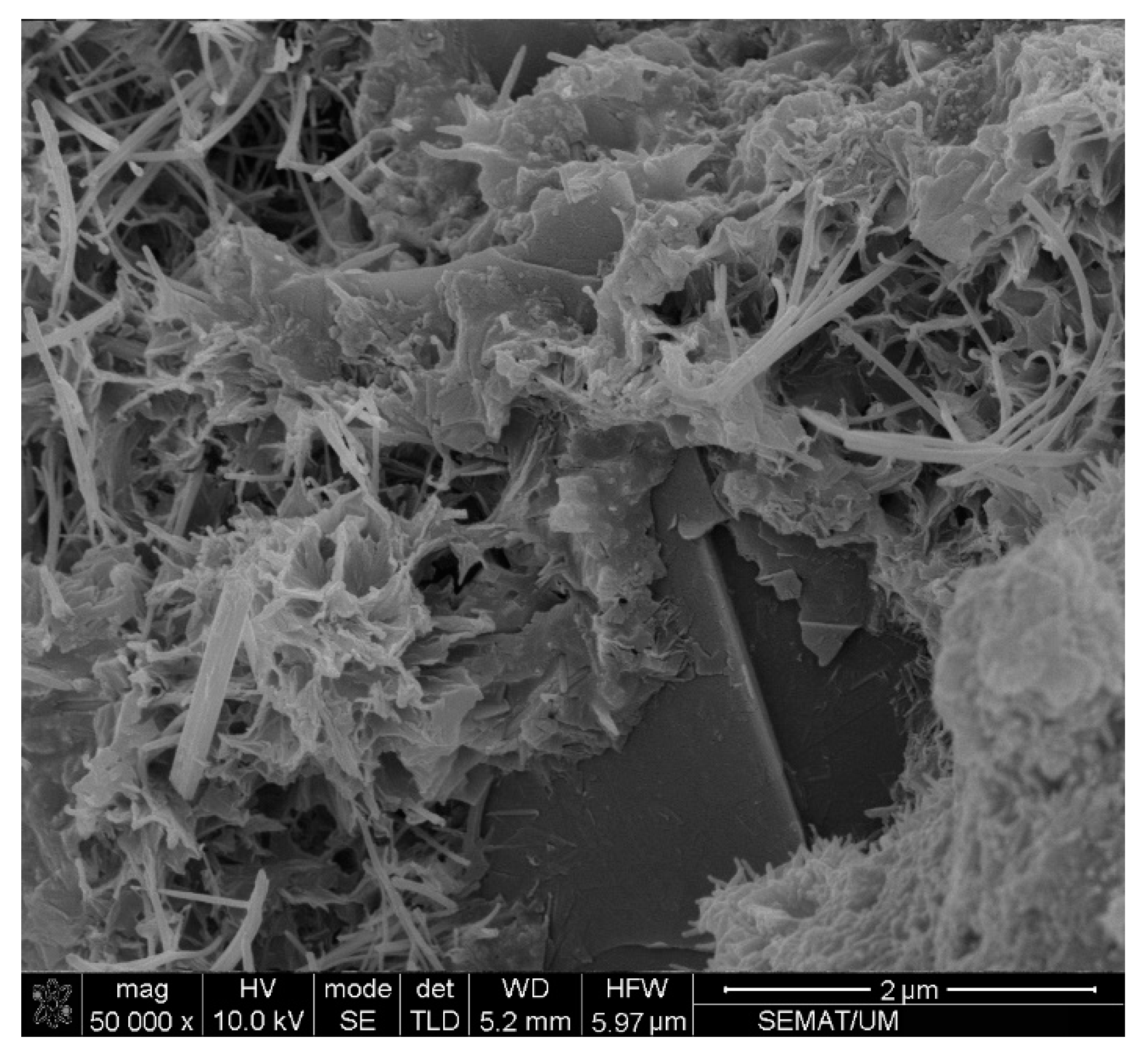 Materials 13 03484 g017