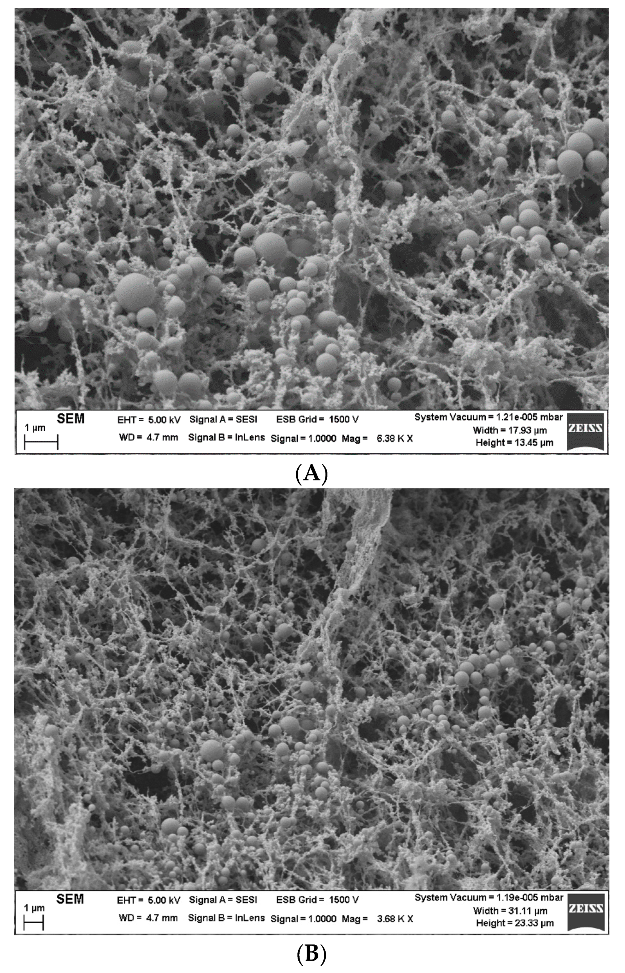 Materials 13 03486 g005