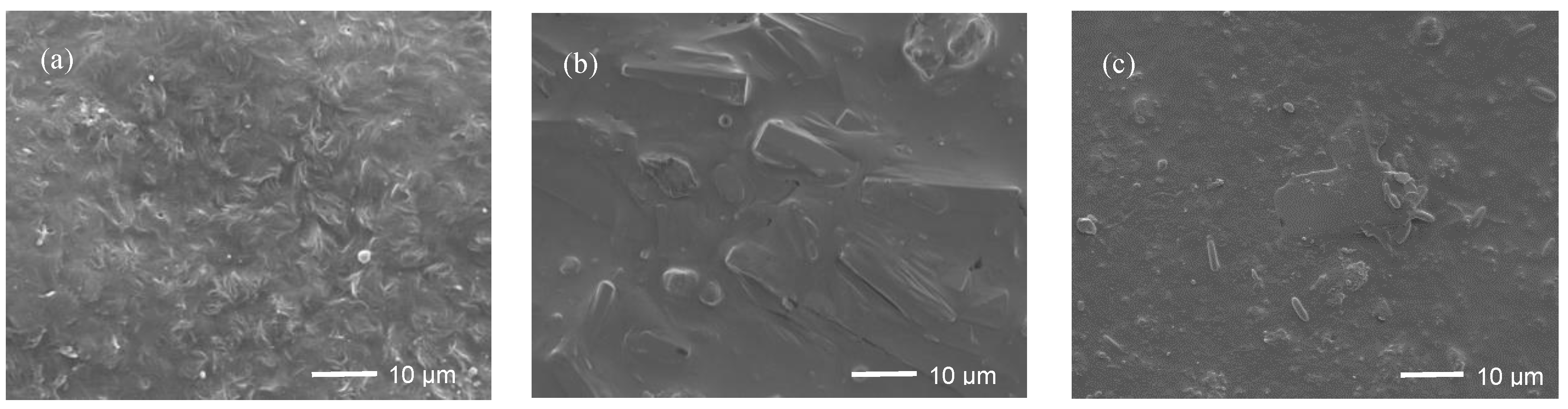 Materials 13 03497 g010