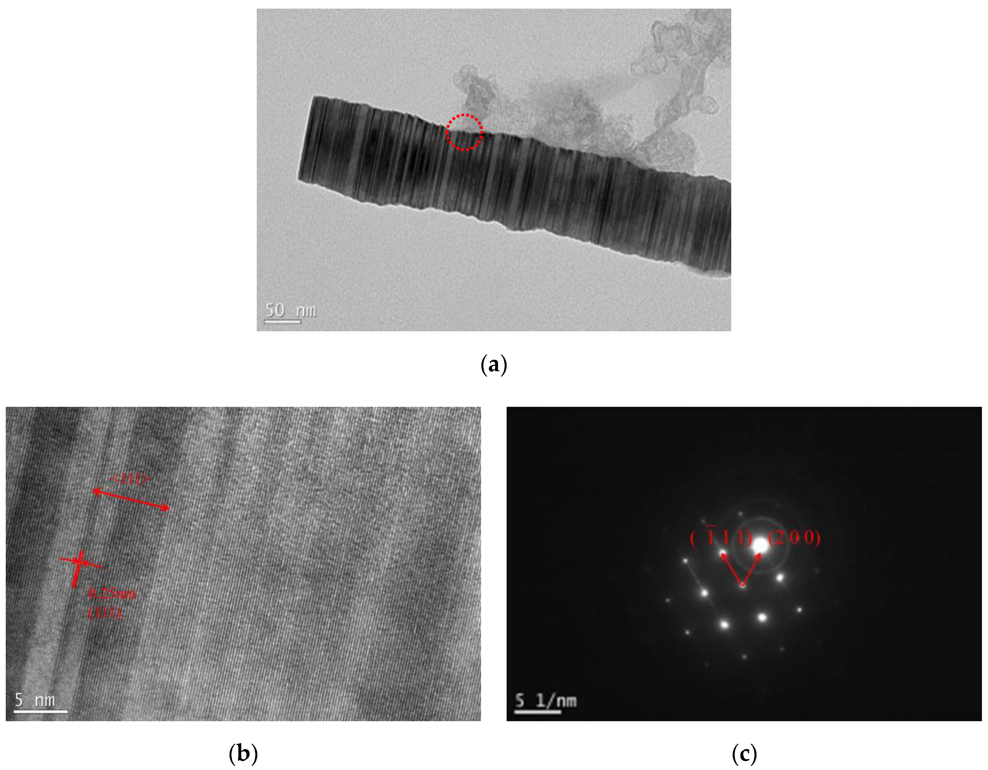 Materials 13 03502 g005