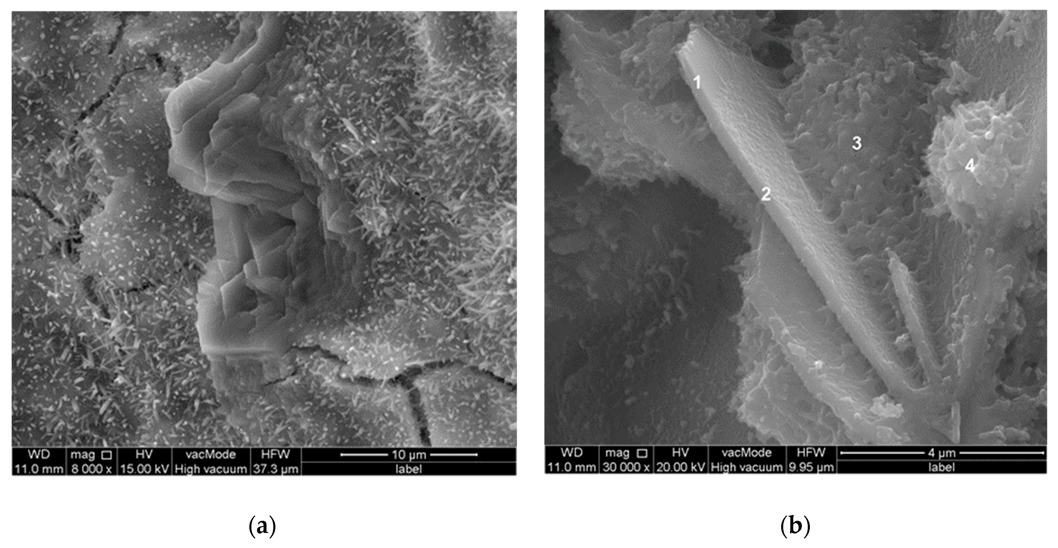 Materials 13 03503 g012