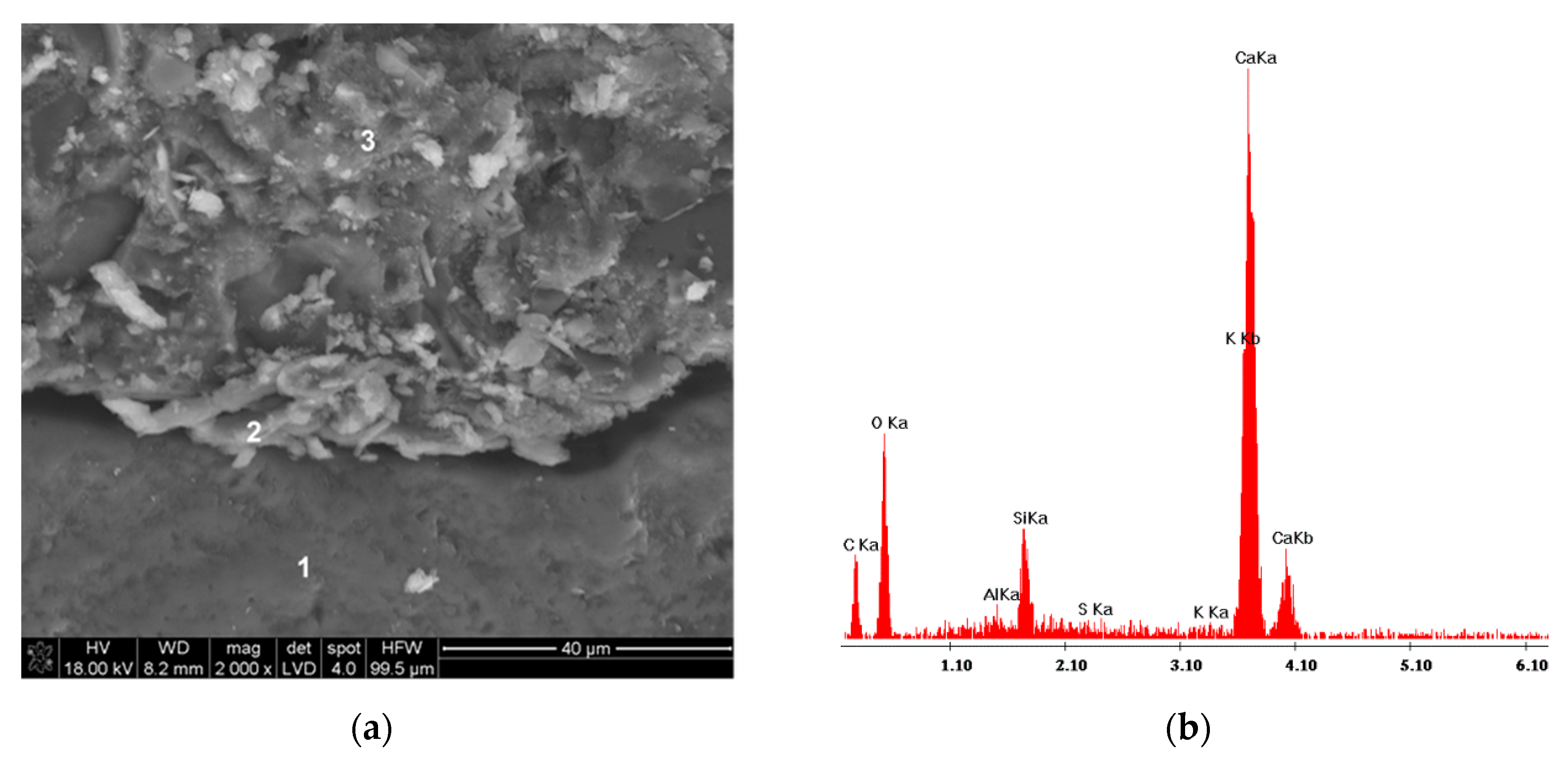 Materials 13 03503 g013