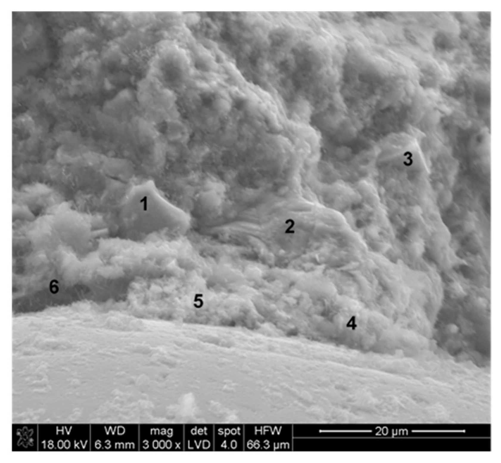 Materials 13 03503 g014