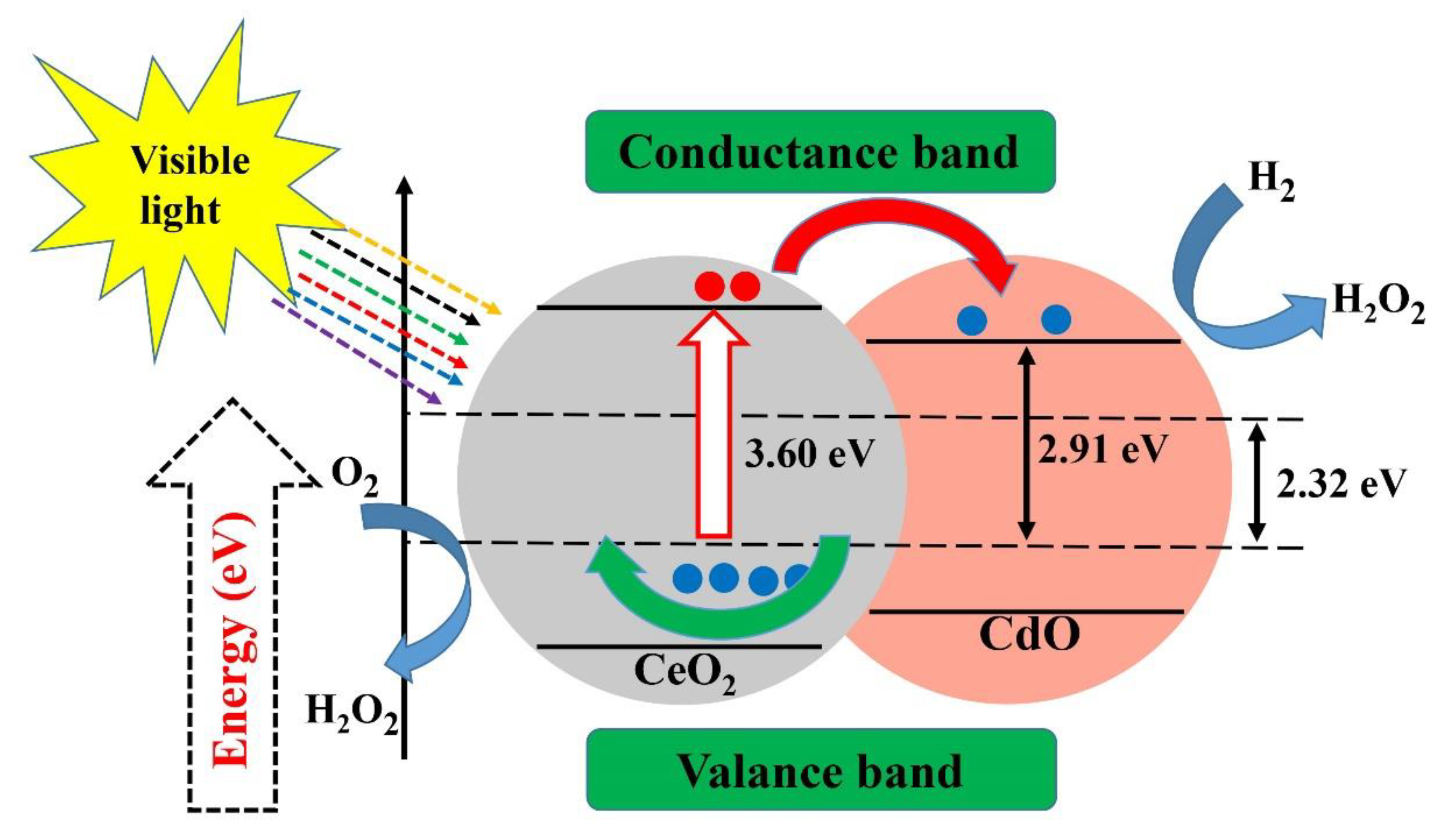 Materials 13 03511 g007