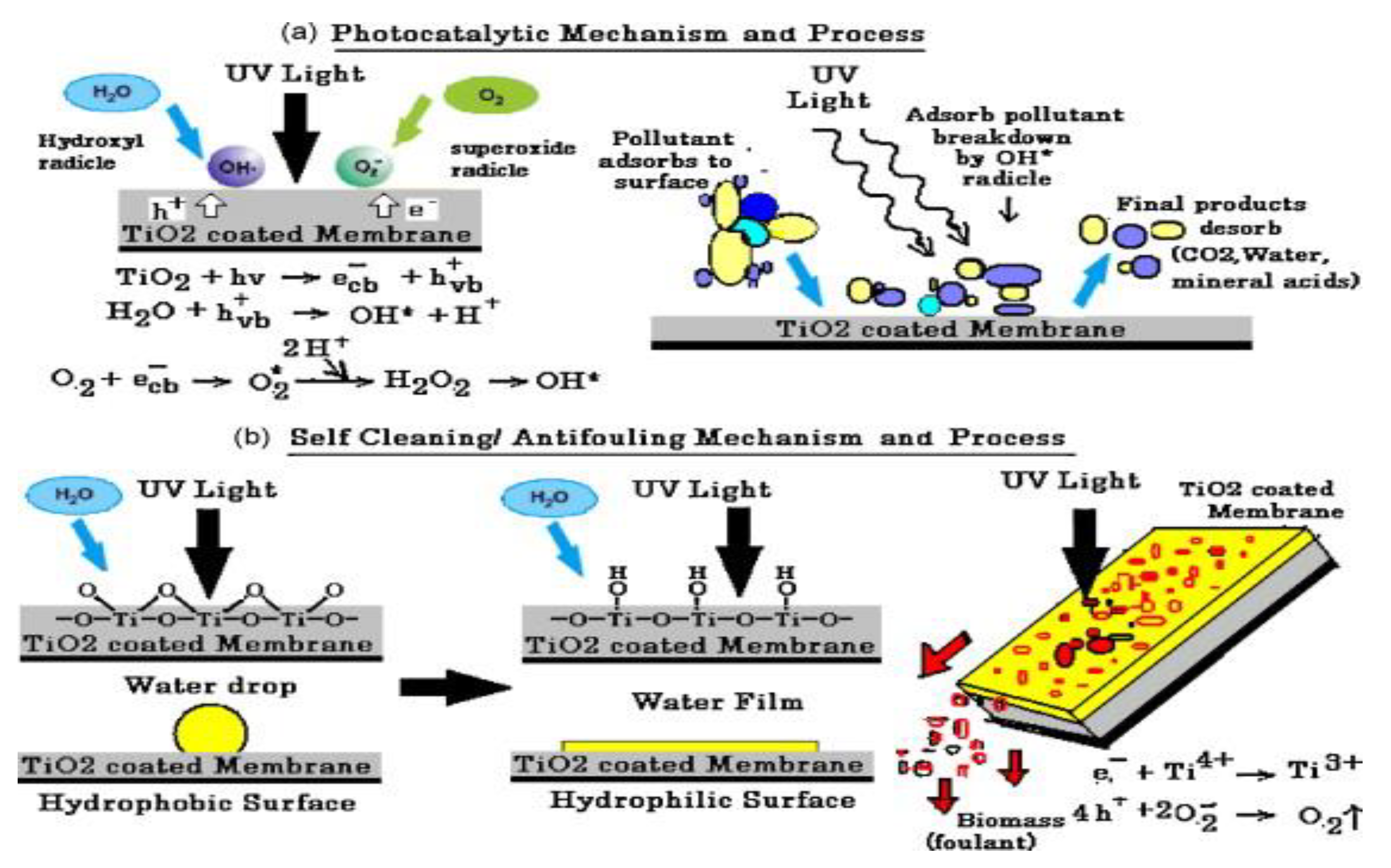 Materials 13 03511 g011